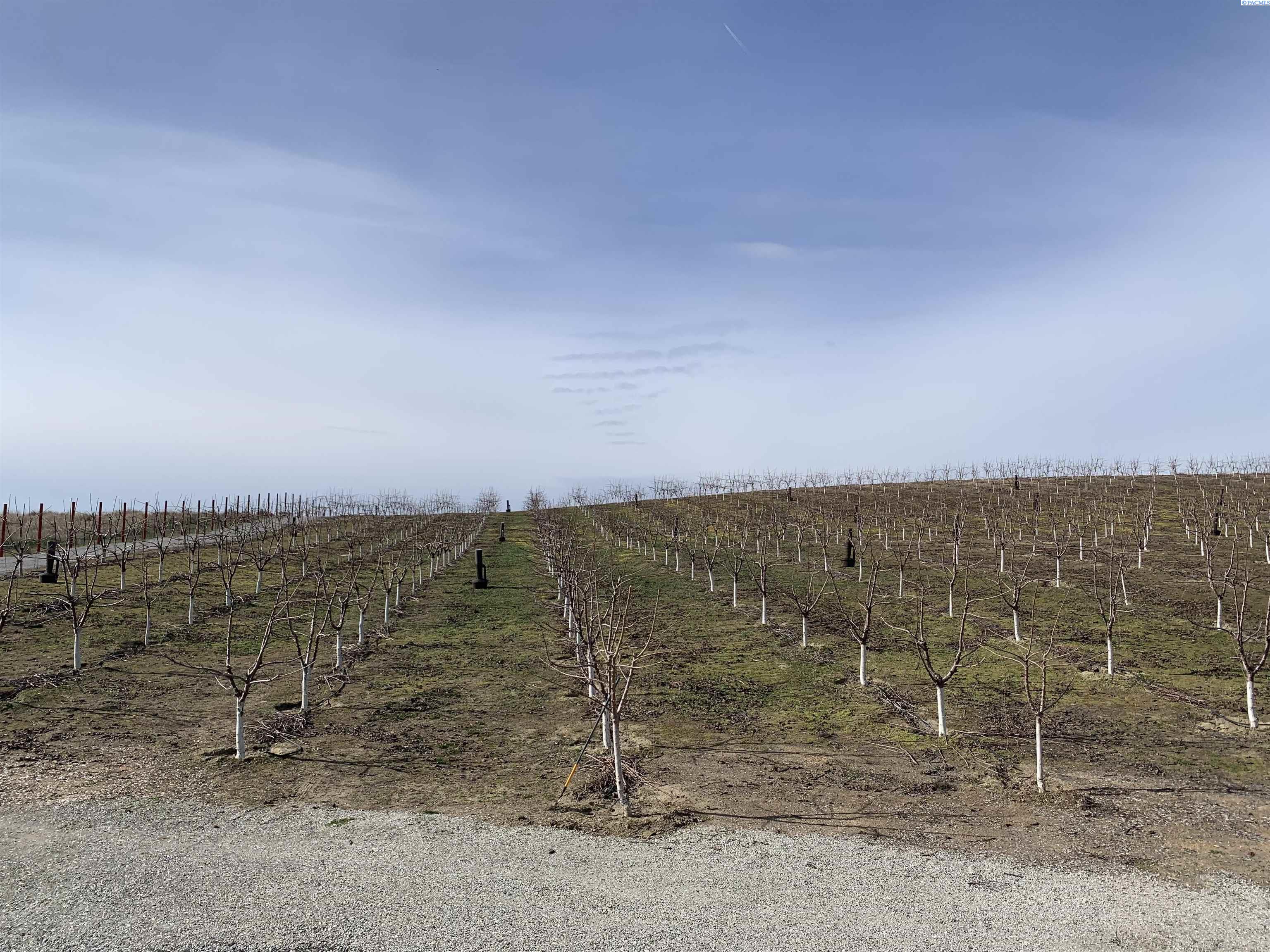 Photo 1 of Land for sale at 630 Moore Rd, Pasco, WA 99301 | MLS# PAC290902 | Listing updated on 2026-08-21