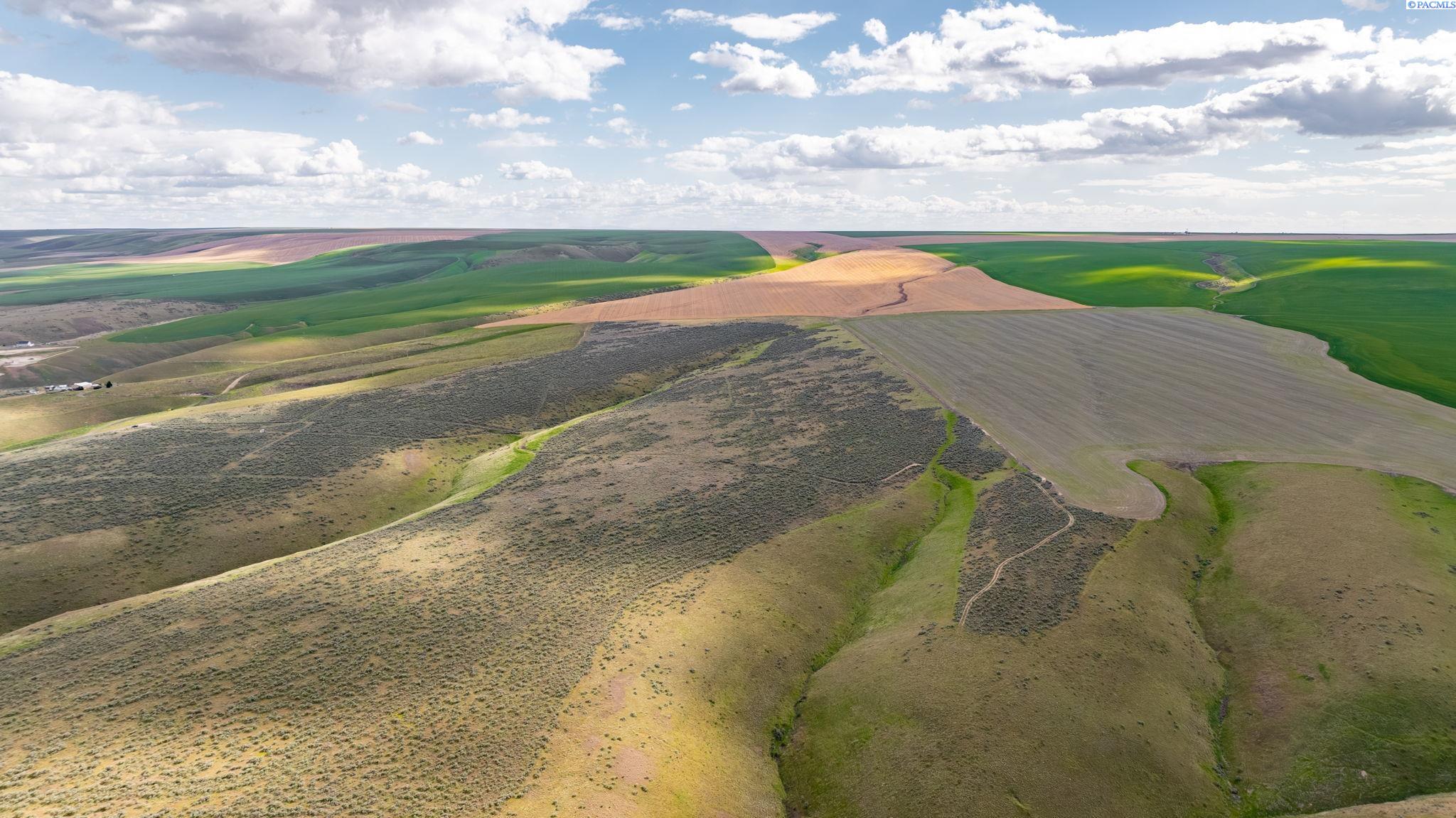 Photo 3 of Land for sale at Nka 506 Prse, Benton City, WA 99320 | MLS# PAC292262 | Listing updated on 2026-07-15