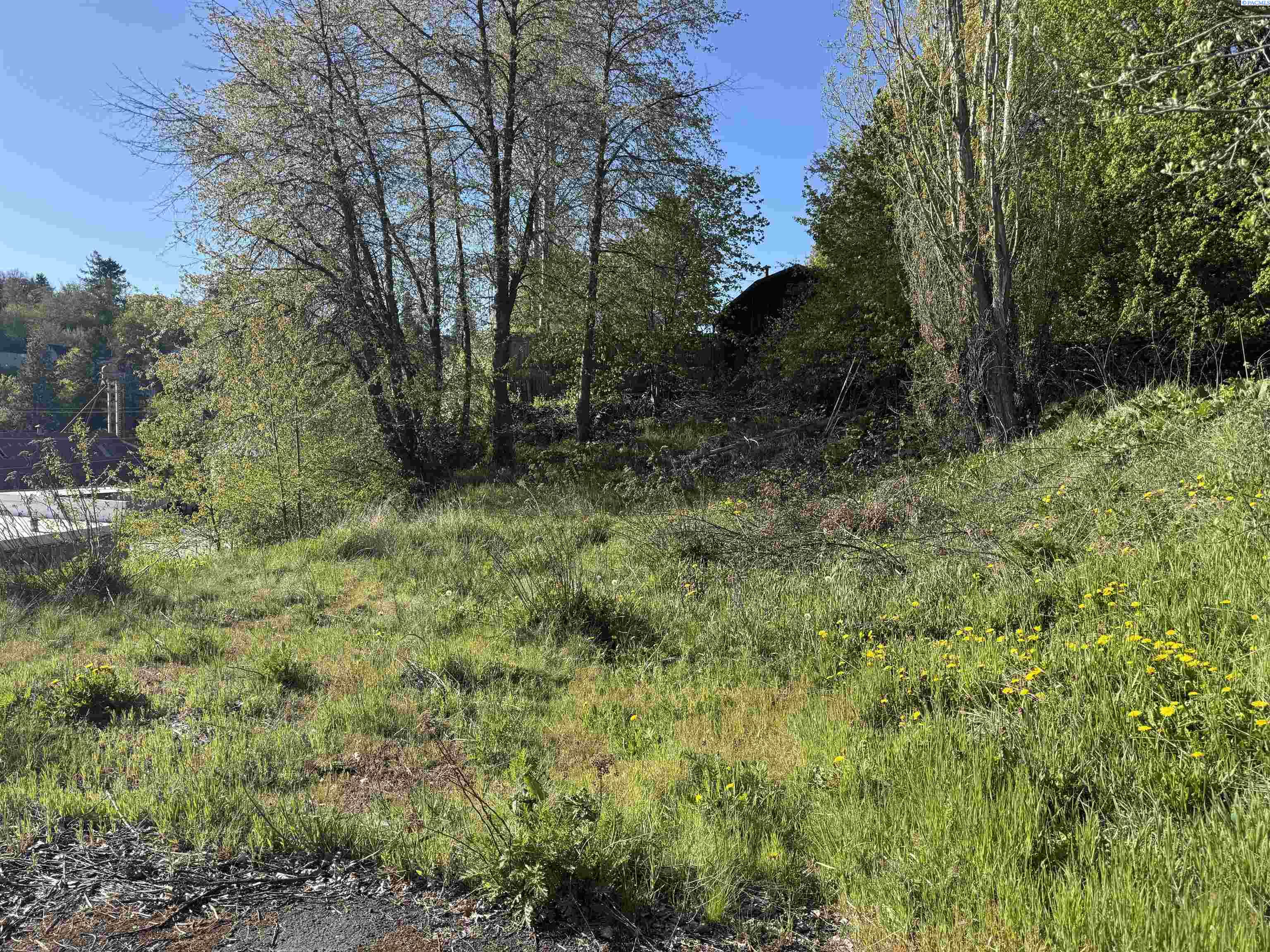 Photo 3 of Land for sale at 129 NW True, Pullman, WA 99163 | MLS# PAC292549 | Listing updated on 2026-09-25
