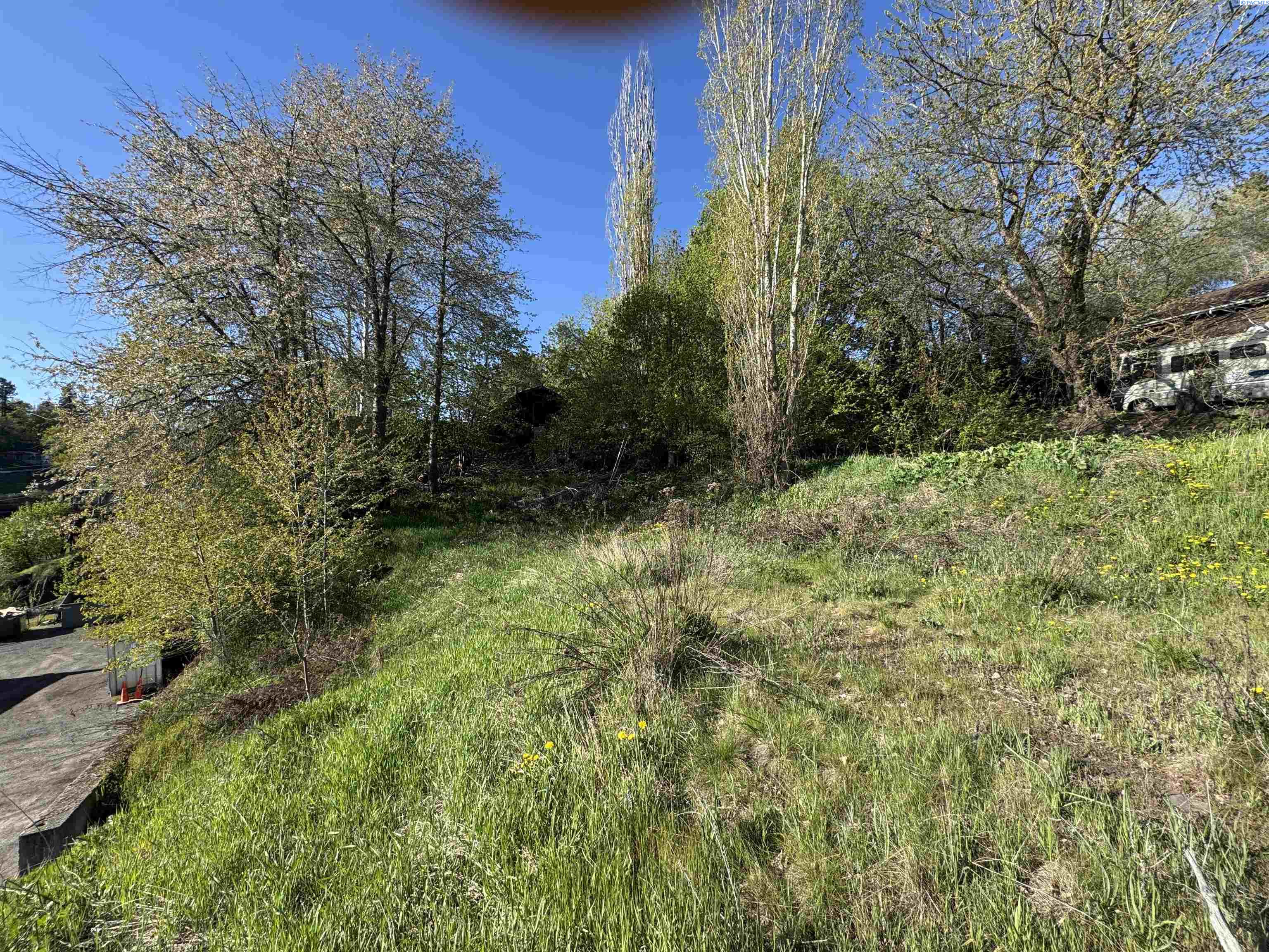 Photo 4 of Land for sale at 129 NW True, Pullman, WA 99163 | MLS# PAC292549 | Listing updated on 2026-09-25