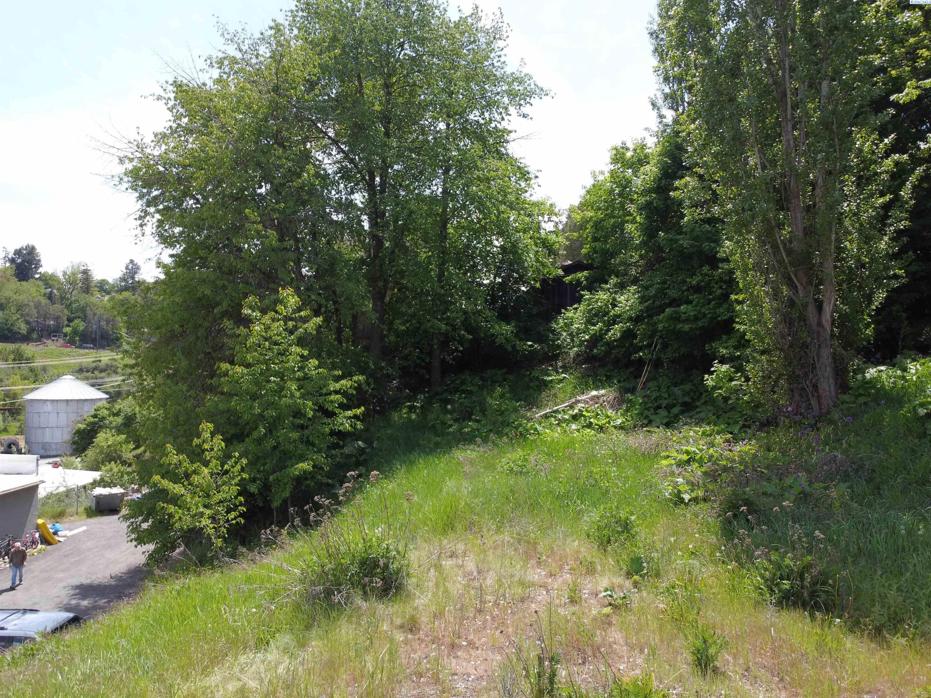 Land for sale at 129 NW True, Pullman, WA 99163 | MLS# PAC292549