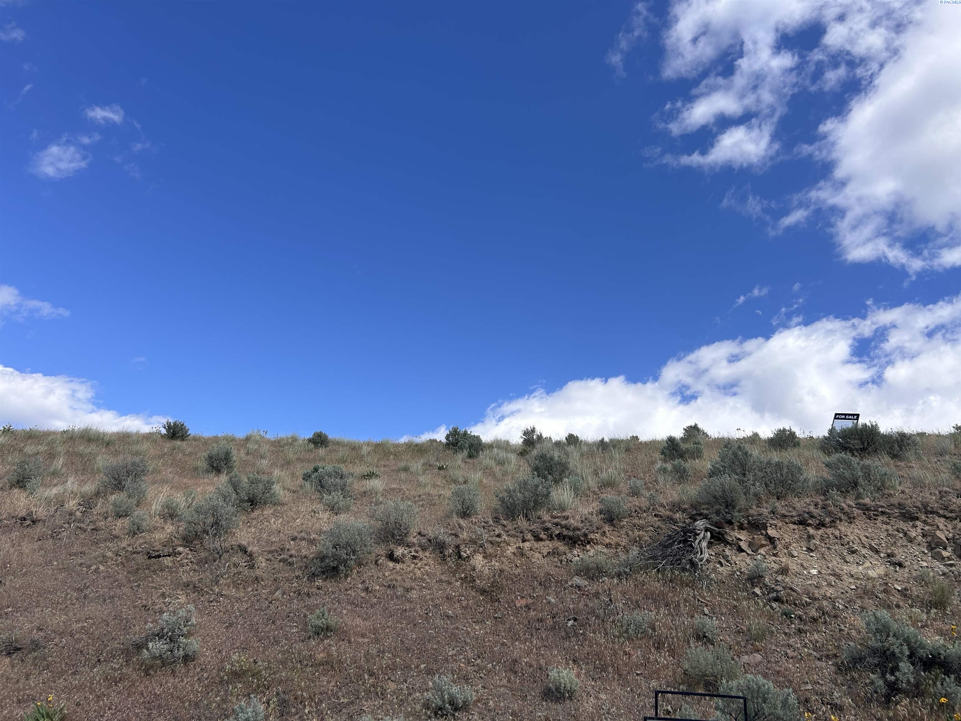 Photo 4 of Land for sale at Tbd S Lincoln Grade Rd, Prosser, WA 99350 | MLS# PAC292650 | Listing updated on 2026-09-05