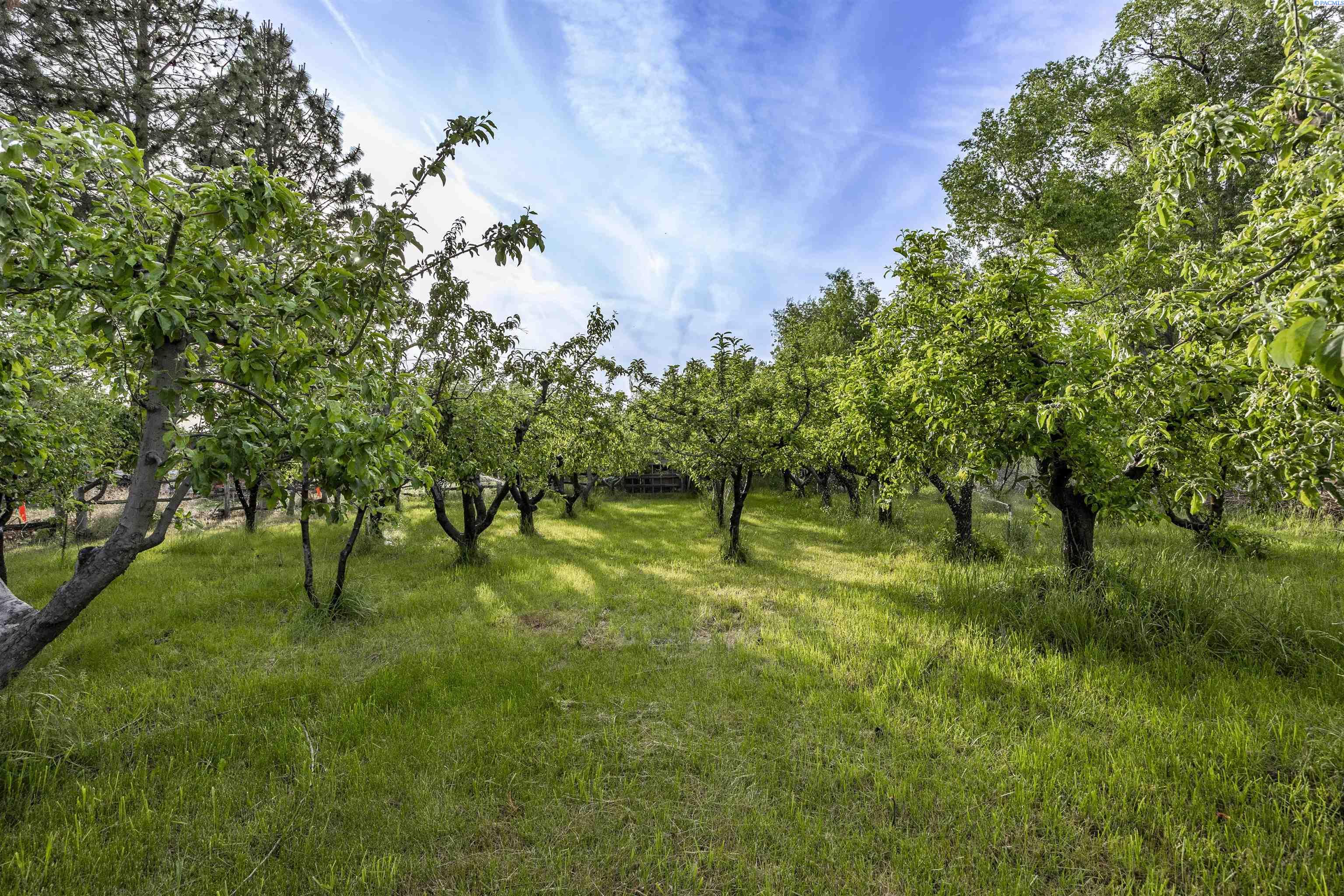 Photo 3 of Land for sale at Nka N Kendall Rd, Benton City, WA 99320 | MLS# PAC292820 | Listing updated on 2026-06-26