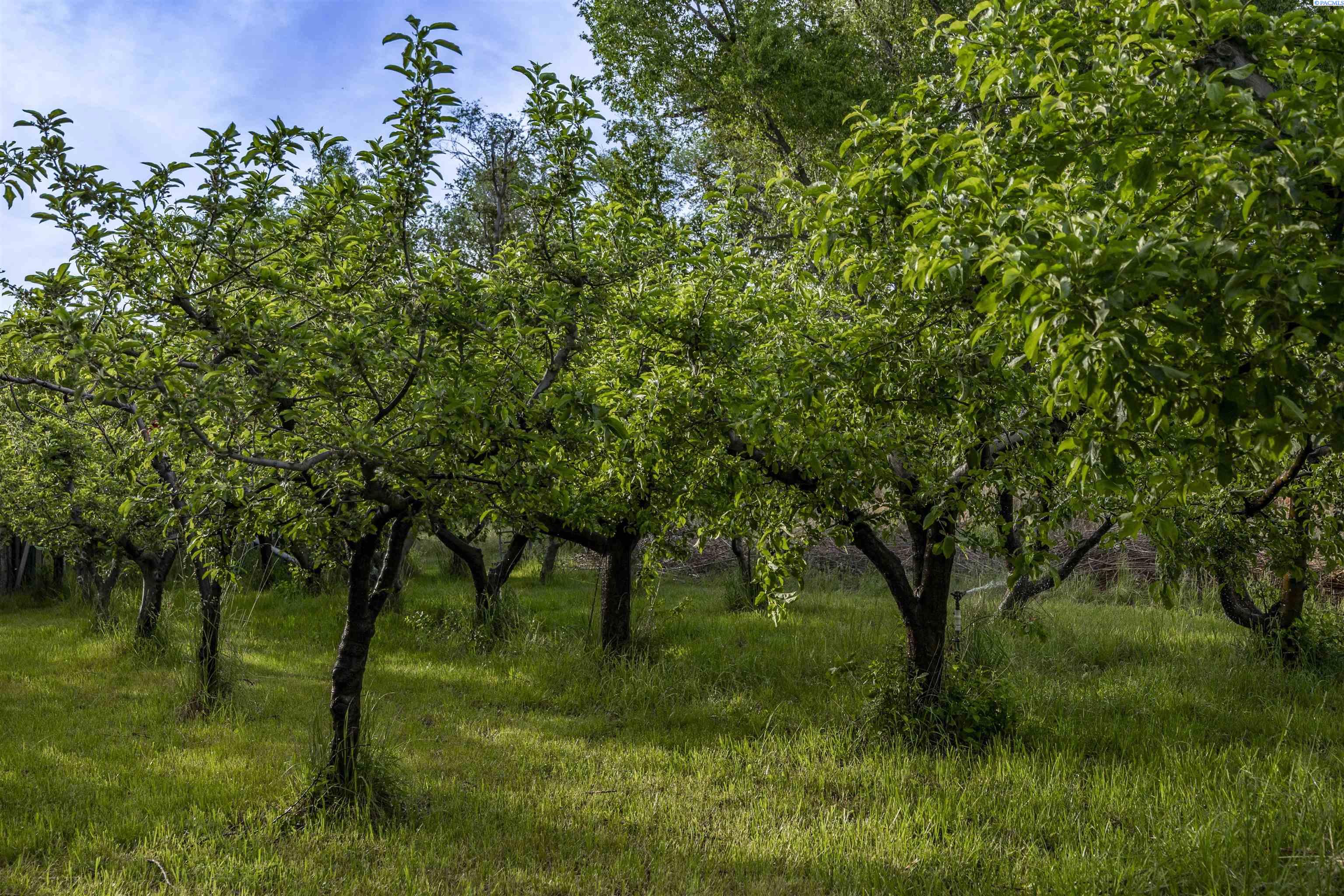 Photo 4 of Land for sale at Nka N Kendall Rd, Benton City, WA 99320 | MLS# PAC292820 | Listing updated on 2026-06-26