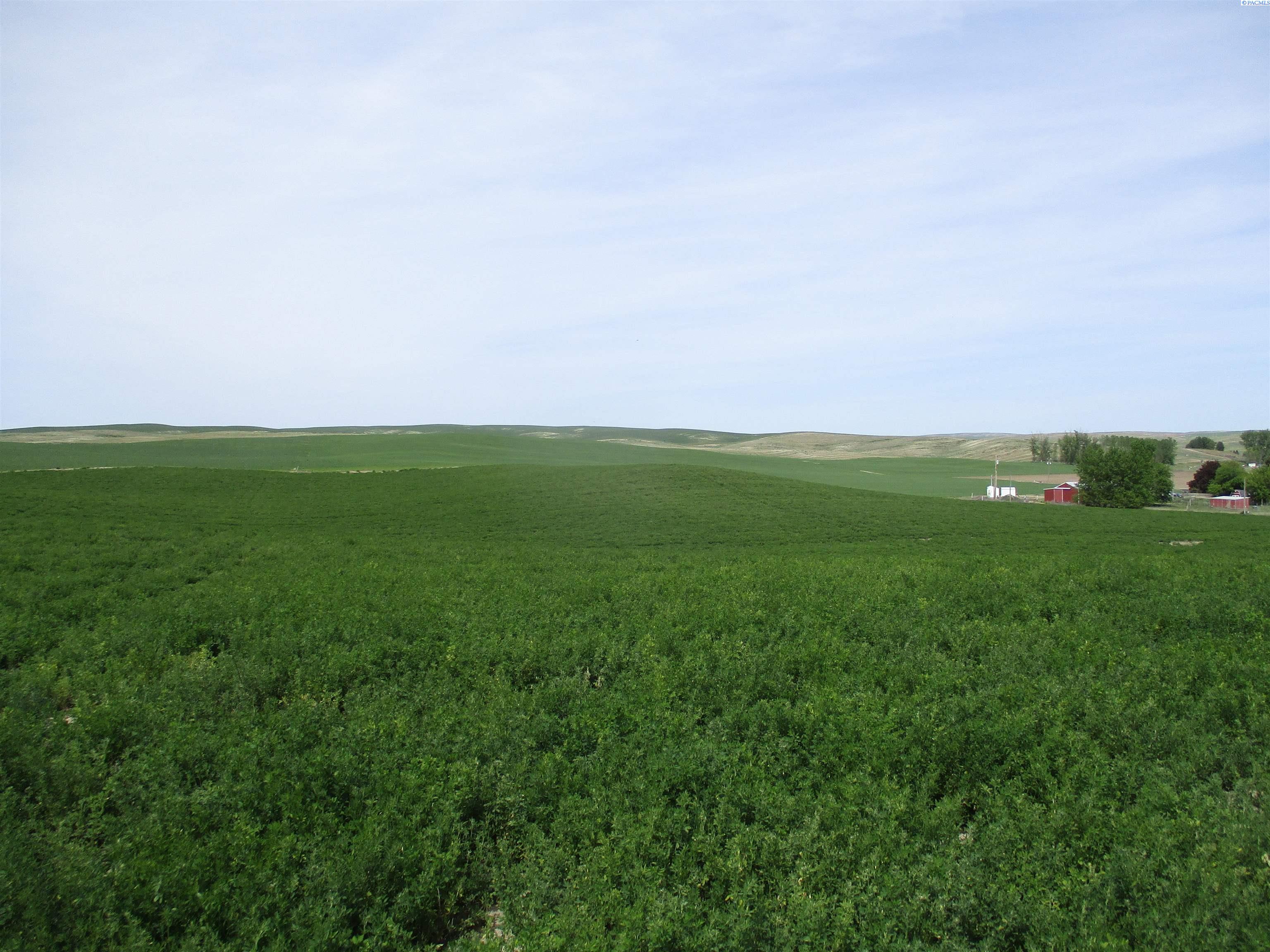 Photo 3 of Land for sale at 000 Ash Holw, Touchet, WA | MLS# PAC293192 | Listing updated on 2026-09-25