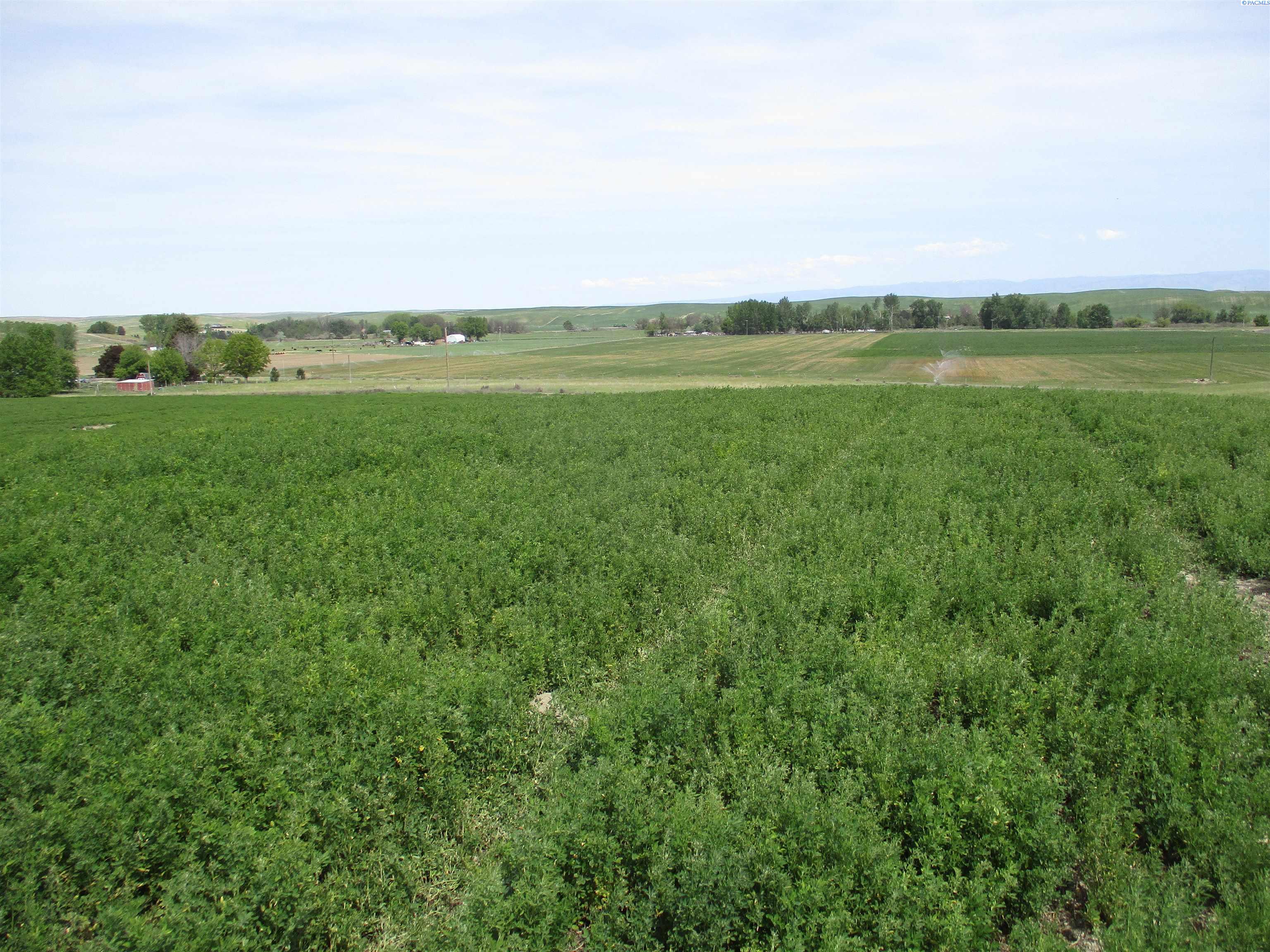 Photo 1 of Land for sale at 000 Ash Holw, Touchet, WA | MLS# PAC293192 | Listing updated on 2026-09-25