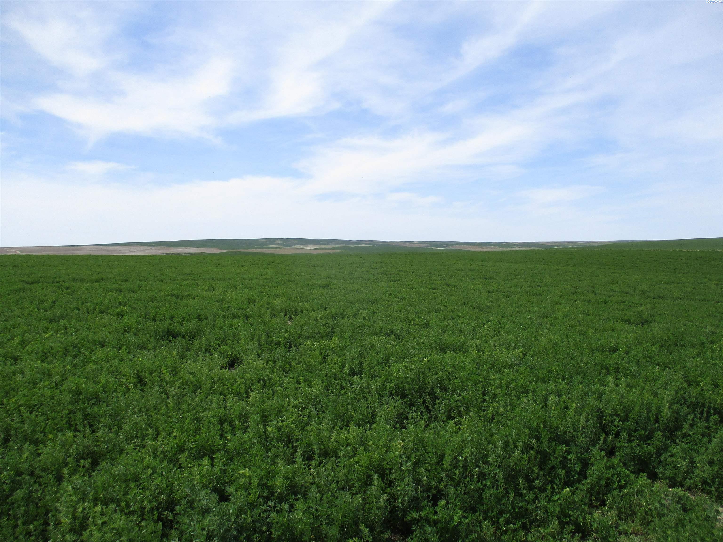 Photo 3 of Land for sale at 000 Ash Holw, Touchet, WA | MLS# PAC293192 | Listing updated on 2026-09-25