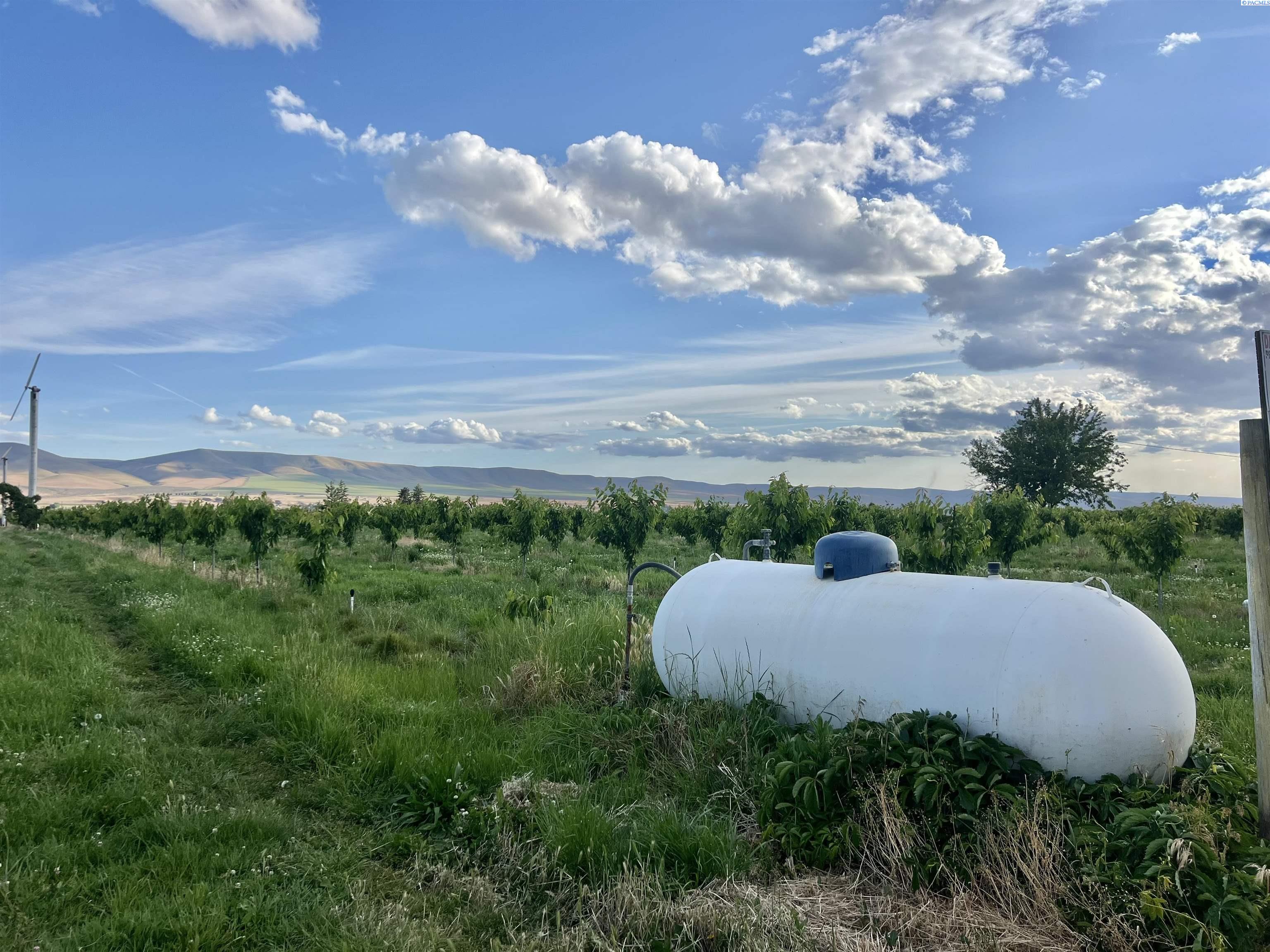 Photo 2 of Land for sale at Tbd Robinson Rd, Grandview, WA 98930 | MLS# PAC293225 | Listing updated on 2026-09-17