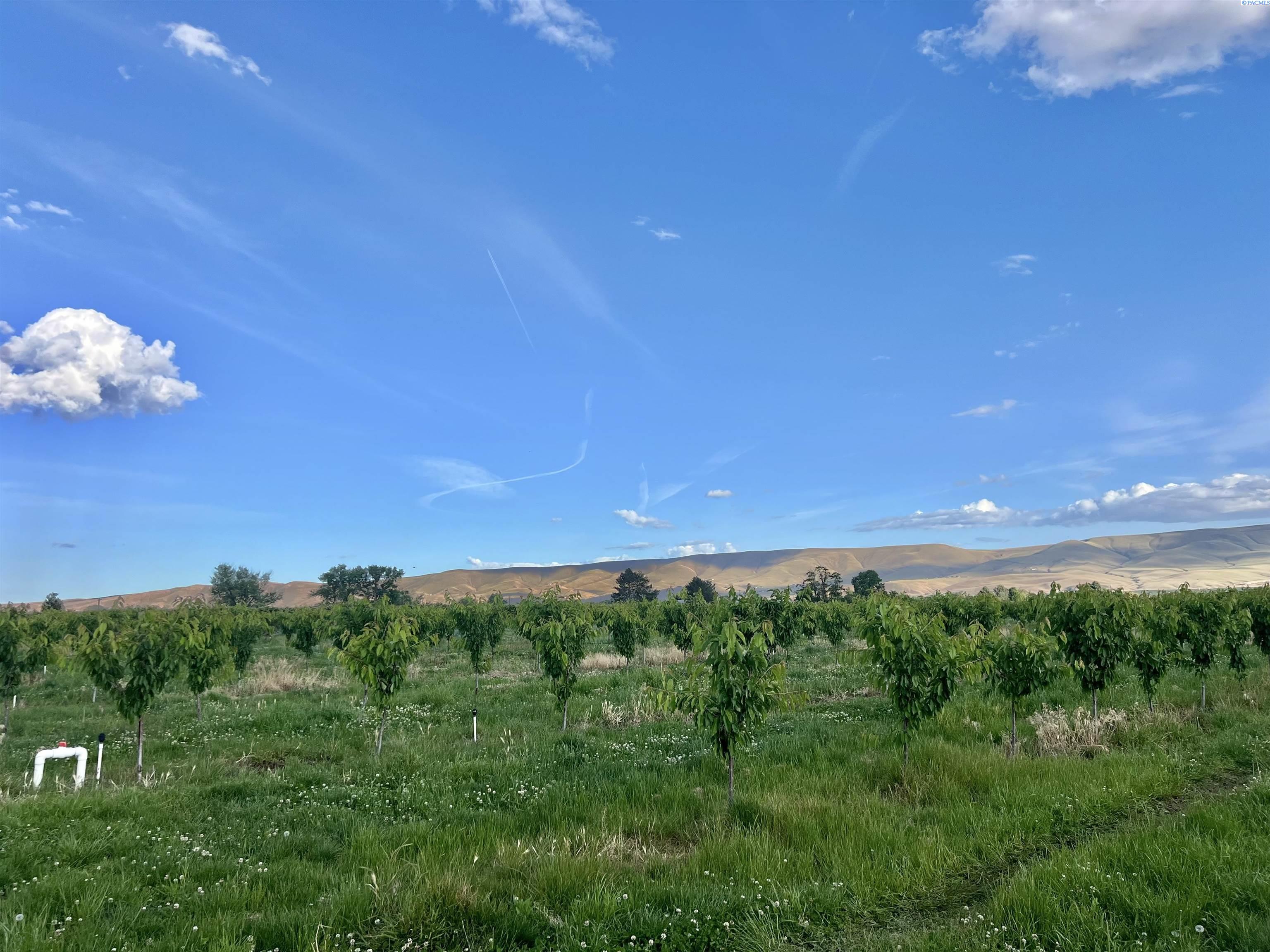 Photo 3 of Land for sale at Tbd Robinson Rd, Grandview, WA 98930 | MLS# PAC293225 | Listing updated on 2026-09-17