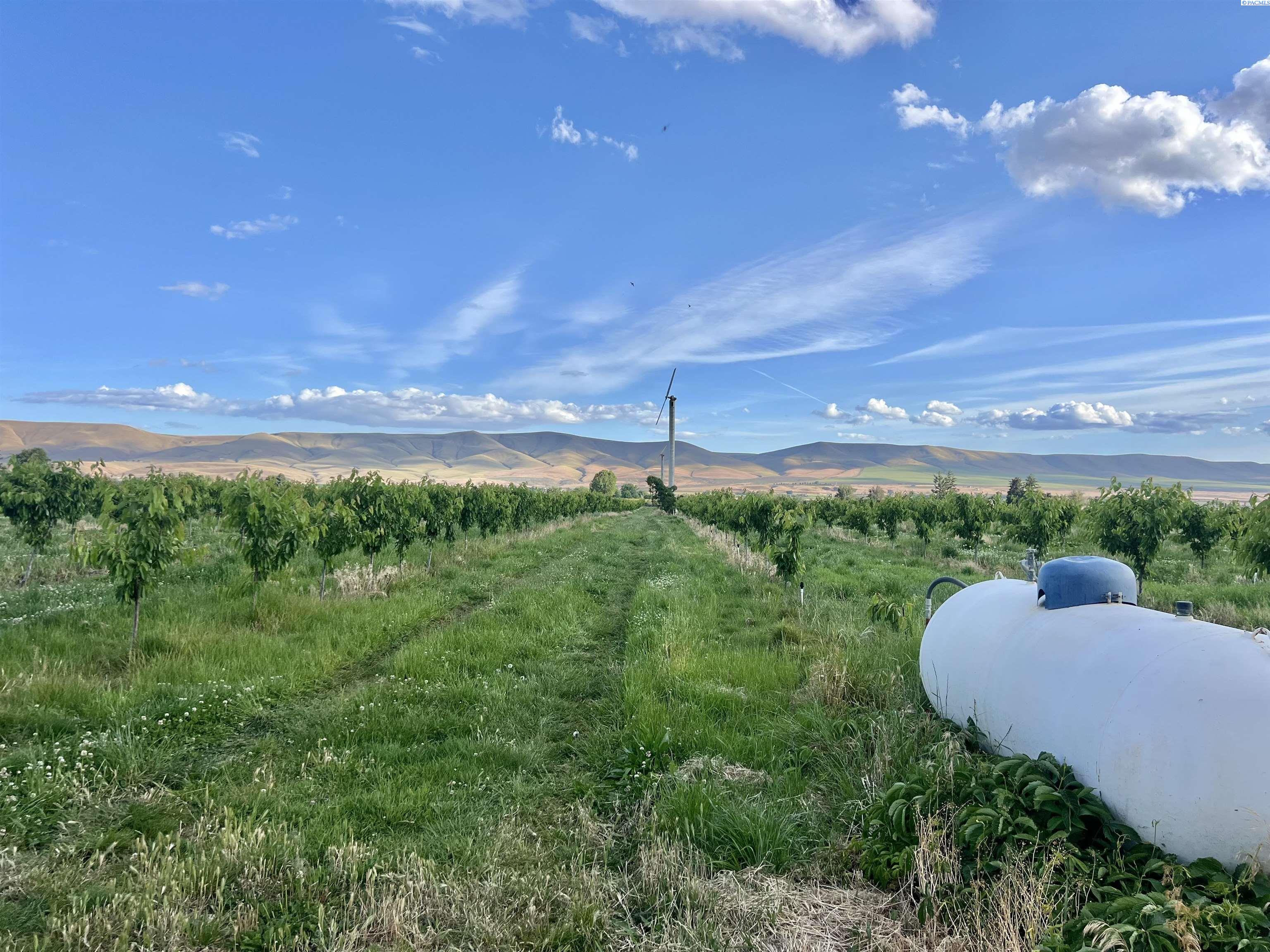 Photo 1 of Land for sale at Tbd Robinson Rd, Grandview, WA 98930 | MLS# PAC293225 | Listing updated on 2026-09-17