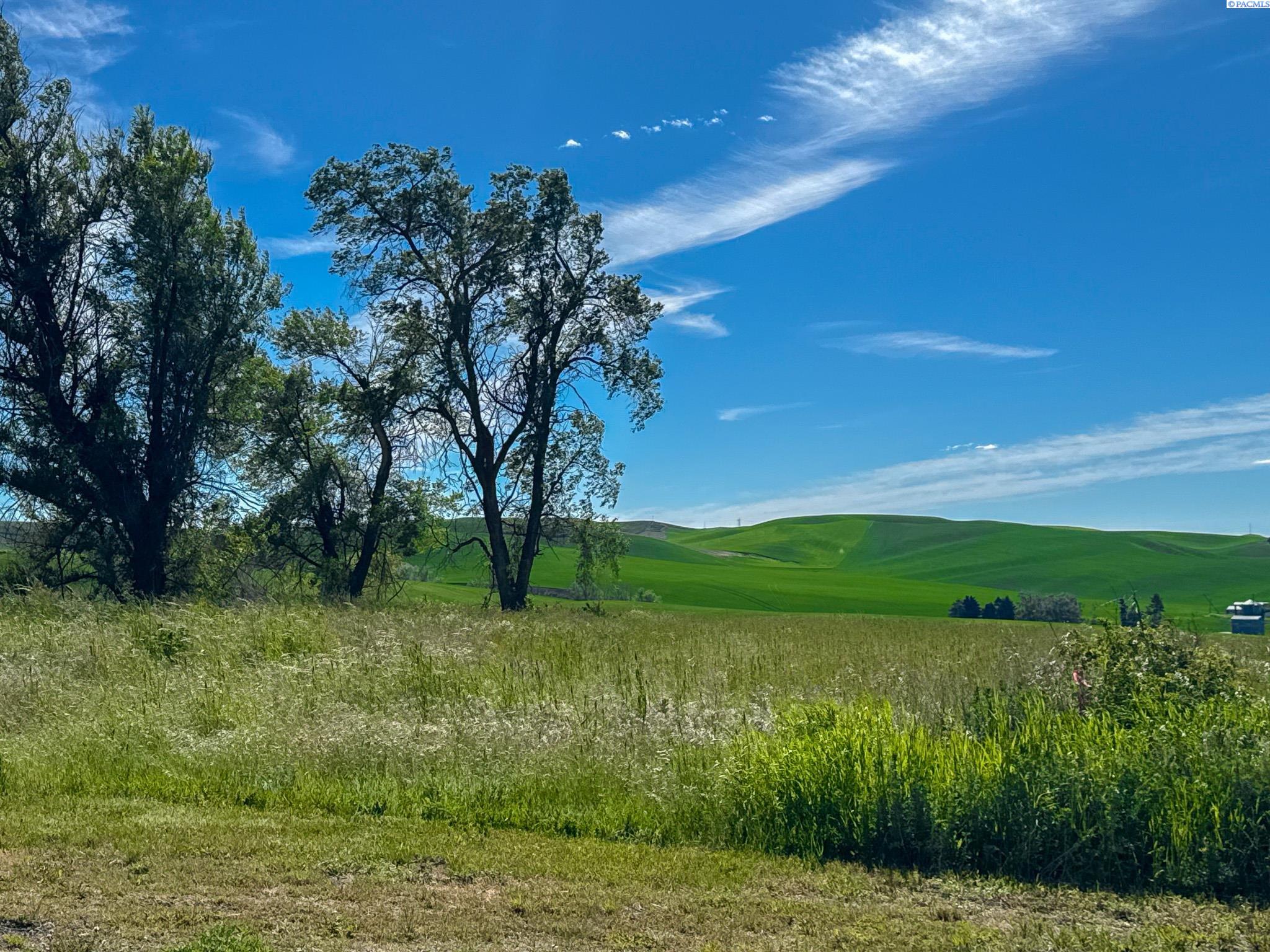 Photo 50 of Single family home for sale at 703 College St, Colton, WA 99113 | MLS# PAC293653 | Listing updated on 2026-09-24