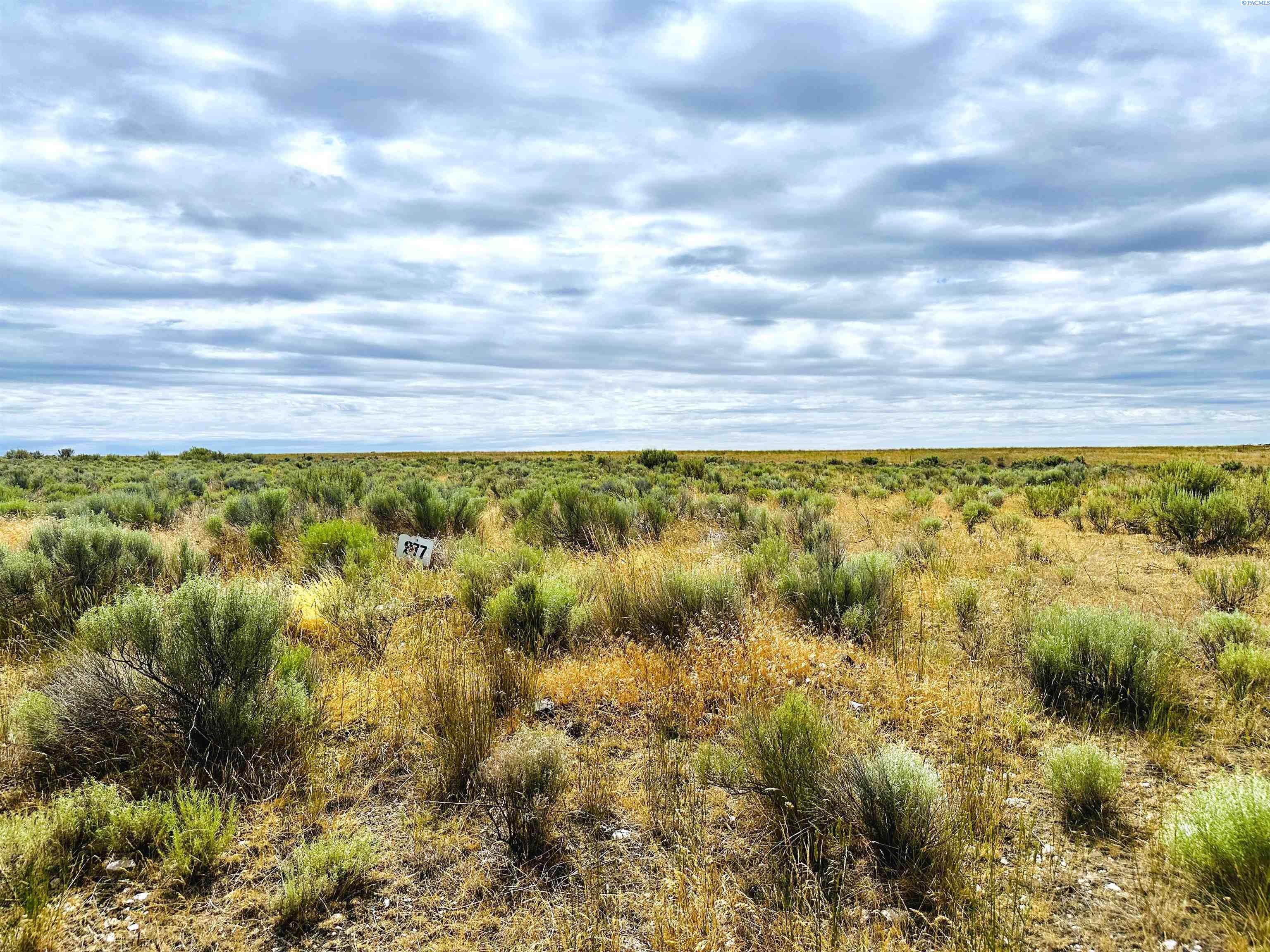 Photo 4 of Land for sale at 19755 NE Rd 212, Marlin, WA 98832 | MLS# PAC294542 | Listing updated on 2026-10-08
