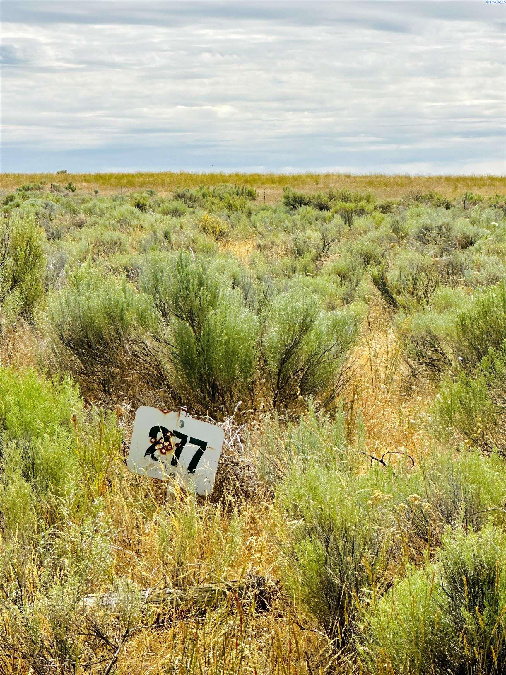Photo 3 of Land for sale at 19755 NE Rd 212, Marlin, WA 98832 | MLS# PAC294542 | Listing updated on 2026-10-08