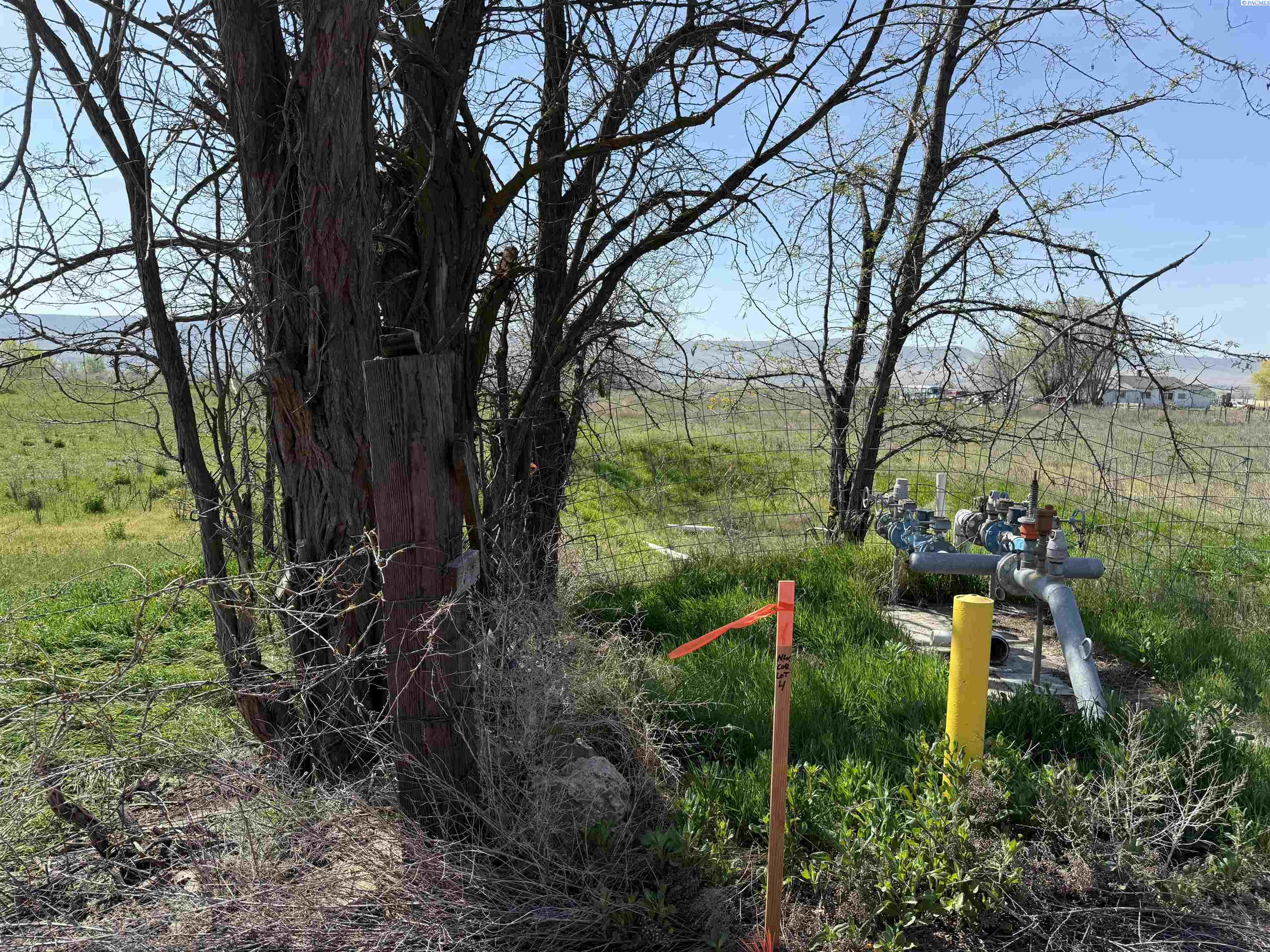 Photo 4 of Land for sale at Tbd Johnson Rd Lot 4, Prosser, WA 99350 | MLS# PAC295133 | Listing updated on 2026-07-31