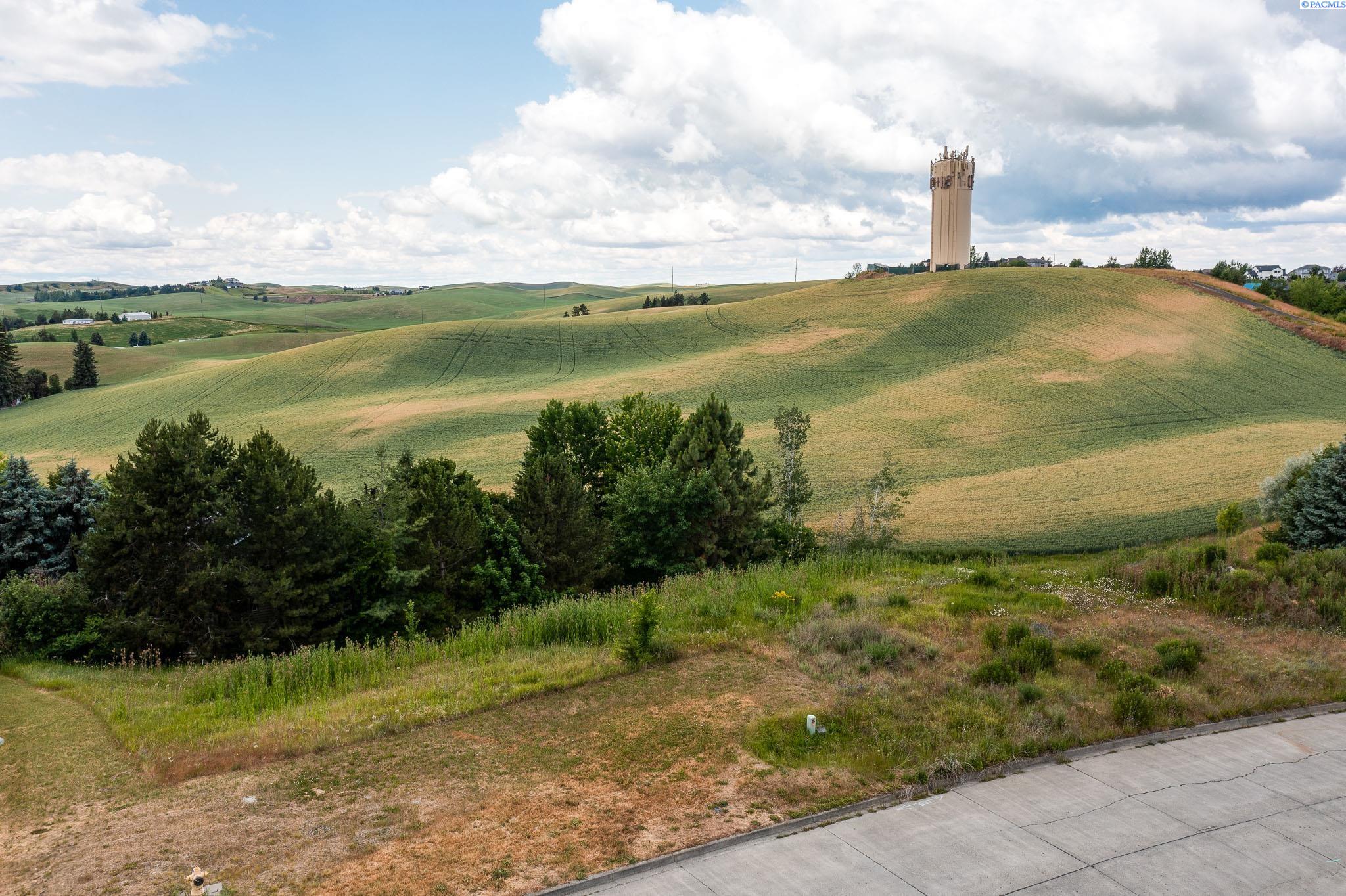 Photo 3 of Land for sale at 1540 SW & 1550 Wadleigh Dr, Pullman, WA 99163 | MLS# PAC296236 | Listing updated on 2026-09-09