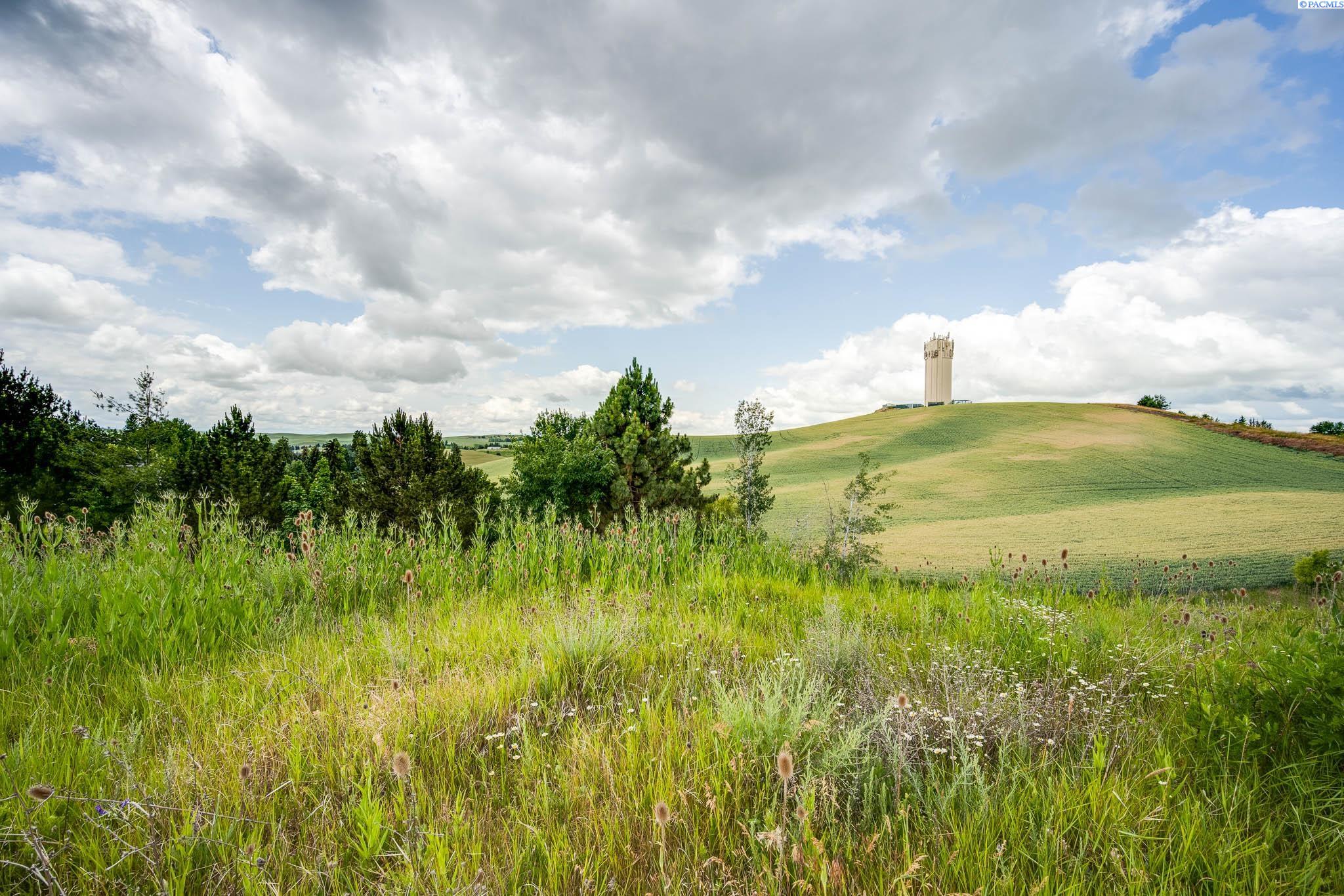 Photo 4 of Land for sale at 1540 SW & 1550 Wadleigh Dr, Pullman, WA 99163 | MLS# PAC296236 | Listing updated on 2026-09-09