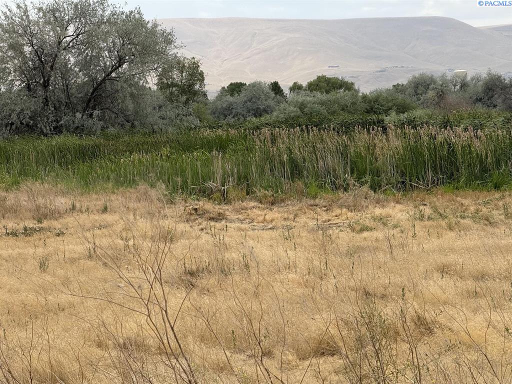 Photo 2 of Land for sale at Tbd Patricia Rd, Prosser, WA 99350 | MLS# PAC296871 | Listing updated on 2026-10-02