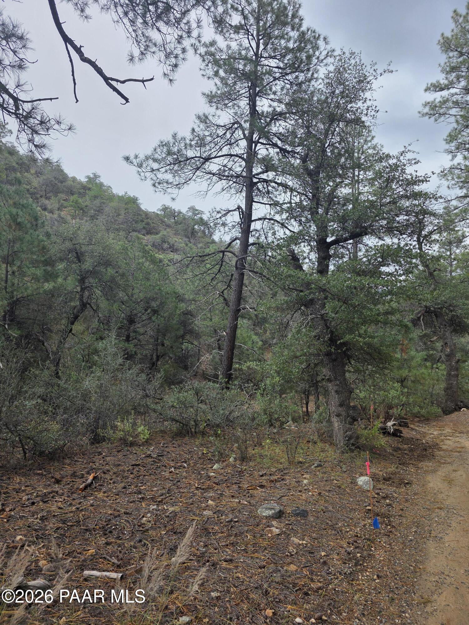 Photo 1 of Land for sale at 3010 W Fs73, Kirkland, AZ 86332 | MLS# 1085943 | Listing updated on 2026-10-25