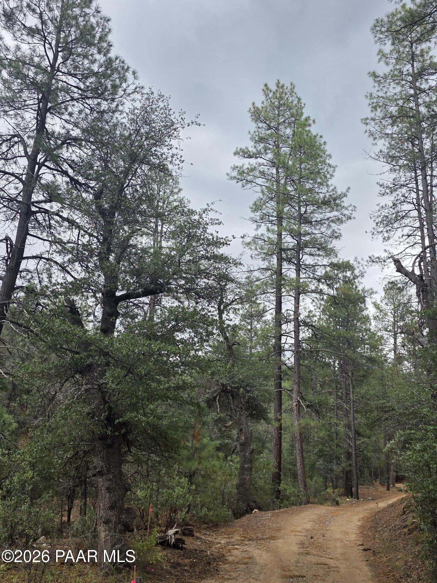 Photo 1 of Land for sale at 3010 W Fs73, Kirkland, AZ 86332 | MLS# 1085943 | Listing updated on 2026-10-25