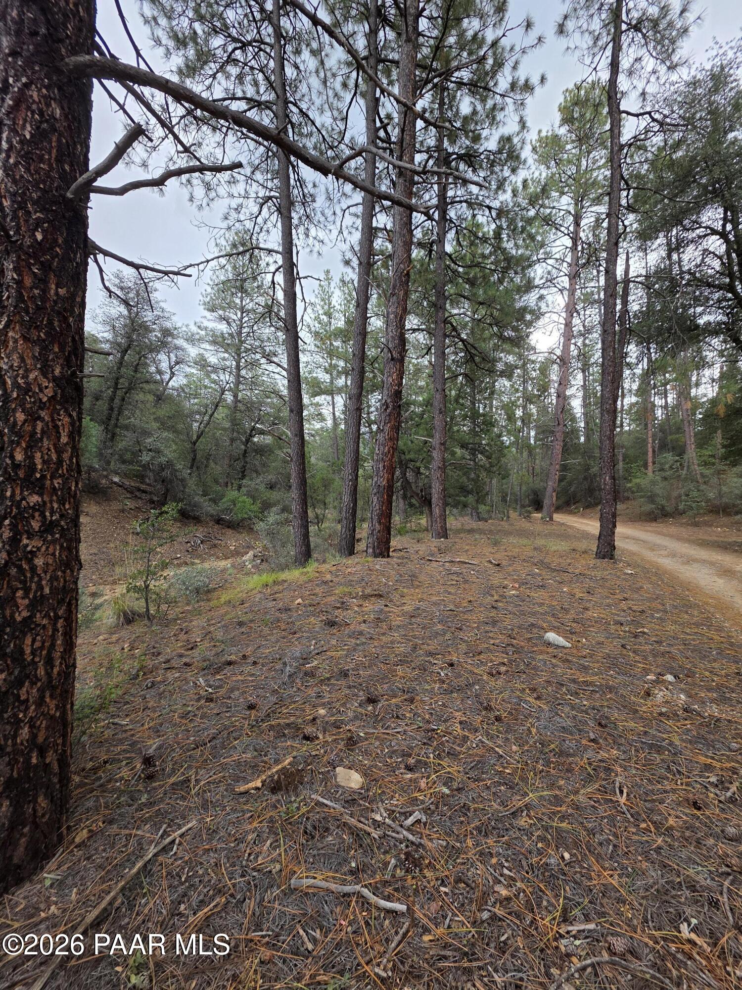 Photo 3 of Land for sale at 3010 W Fs73, Kirkland, AZ 86332 | MLS# 1085943 | Listing updated on 2026-10-25