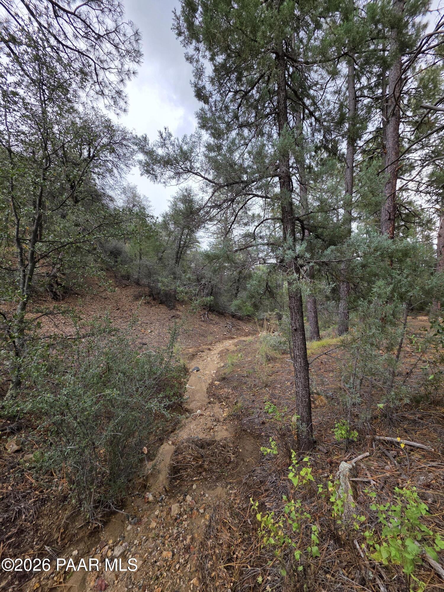Photo 2 of Land for sale at 3010 W Fs73, Kirkland, AZ 86332 | MLS# 1085943 | Listing updated on 2026-10-25