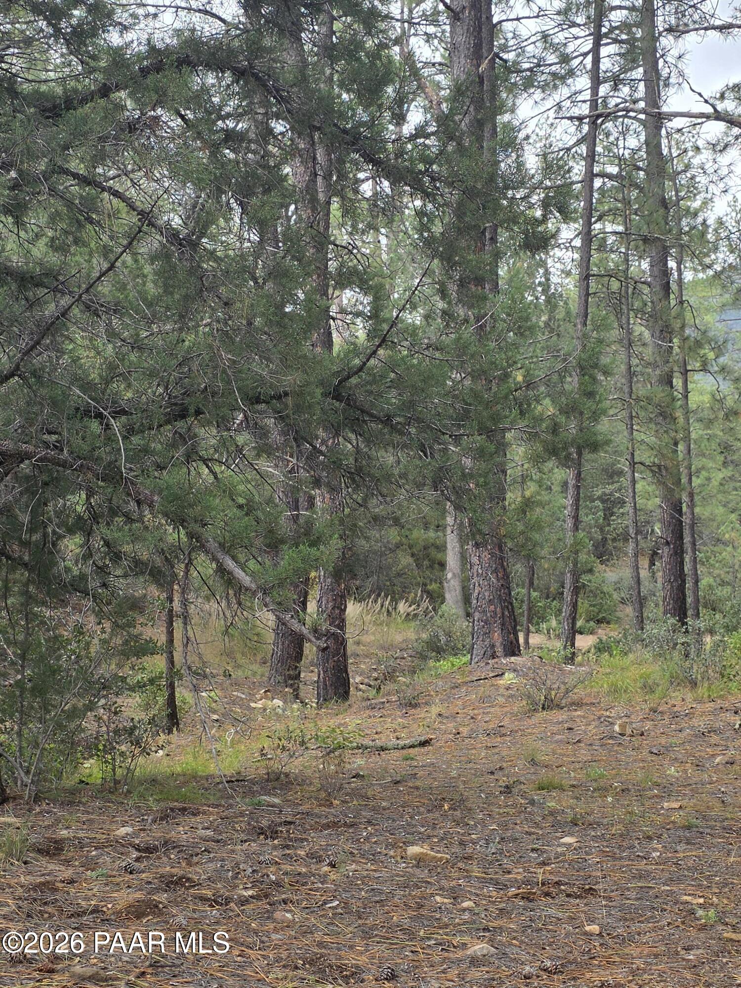 Photo 4 of Land for sale at 3010 W Fs73, Kirkland, AZ 86332 | MLS# 1085943 | Listing updated on 2026-10-25