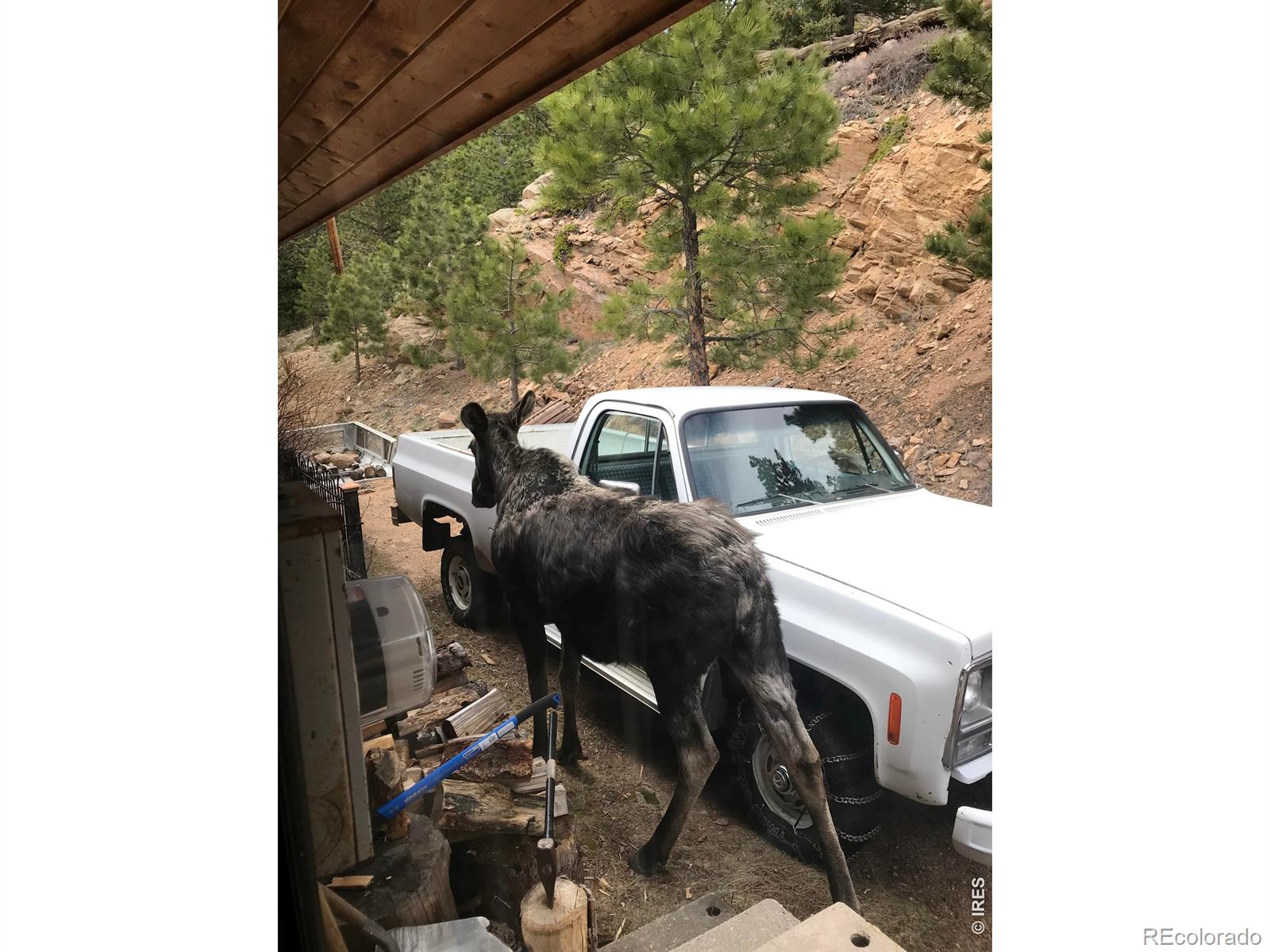 Photo 3 of Single family home for sale at 32307 Sylvan Rd, Golden, CO 80403 | MLS# IR1063612 | Listing updated on 2026-10-10