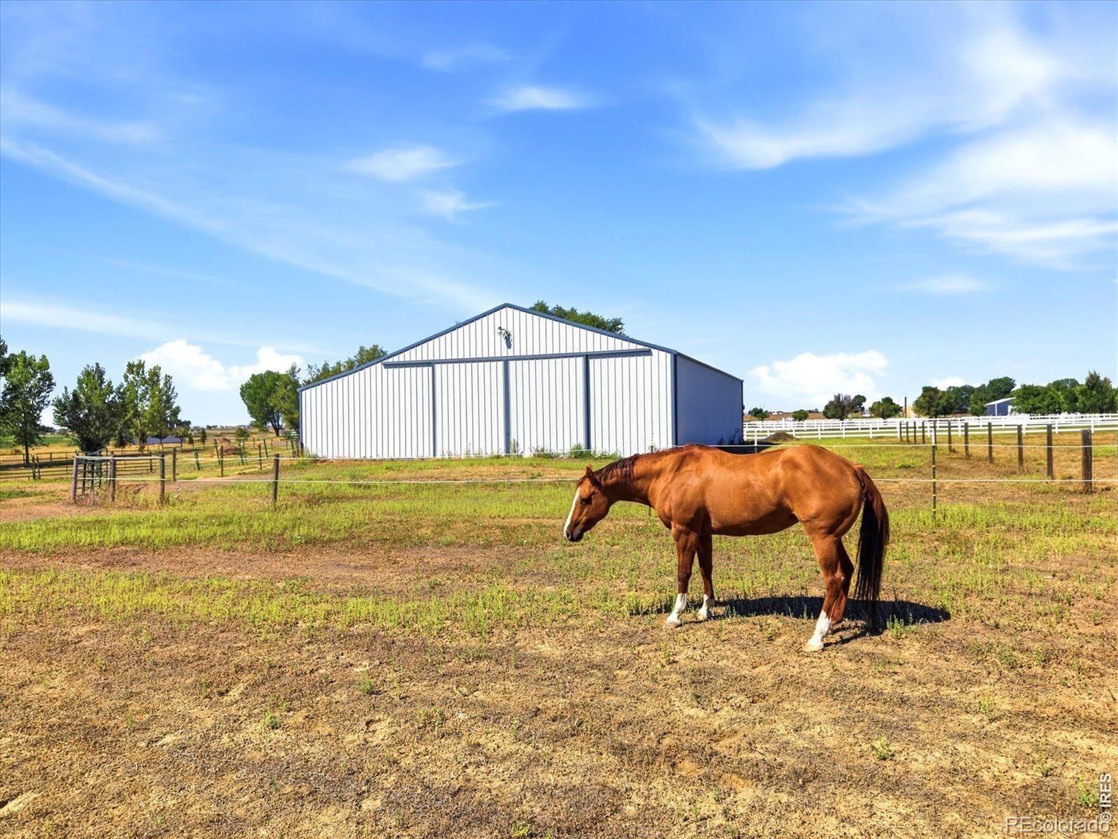 Photo 3 of Single family home for sale at 7212 County Rd 4, Brighton, CO 80603 | MLS# IR1064011 | Listing updated on 2026-09-21