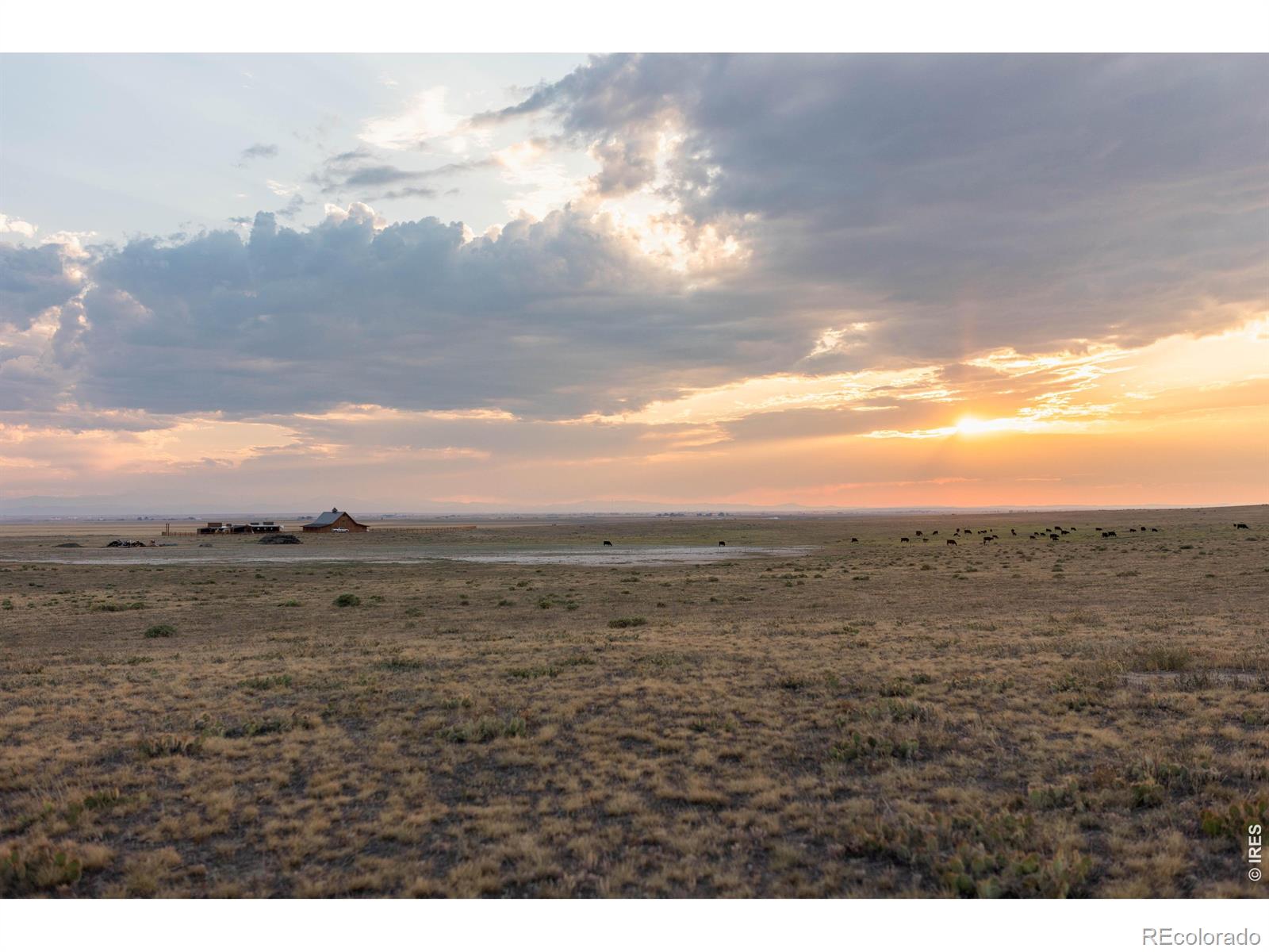 Land for sale at 48020 County Rd 41, Nunn, CO 80648 | MLS# IR1065338