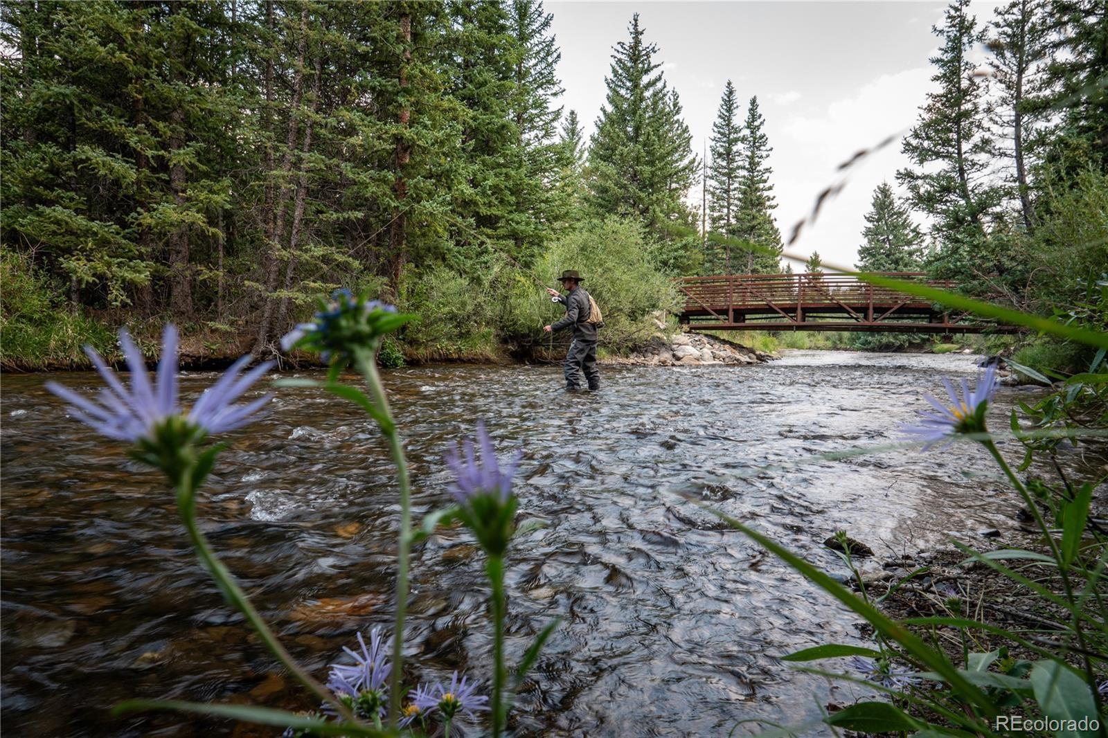 Photo 3 of Land for sale at 108 Ginger Quill Ln, Breckenridge, CO 80424 | MLS# 2185795 | Listing updated on 2026-09-24
