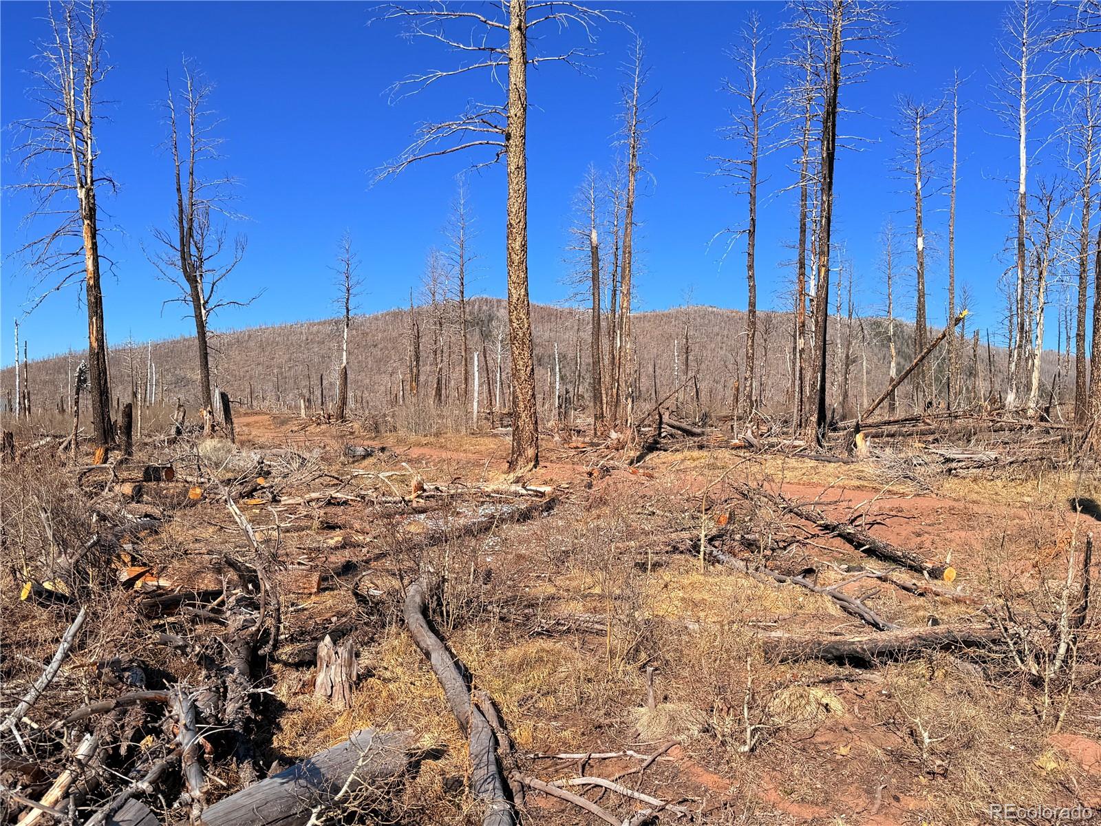 Photo 3 of Land for sale at Lot 2213 Burnett Ln, Fort Garland, CO 81133 | MLS# 7741558 | Listing updated on 2026-09-21