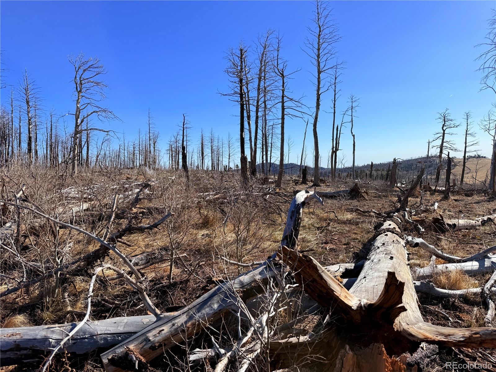 Photo 4 of Land for sale at Lot 2213 Burnett Ln, Fort Garland, CO 81133 | MLS# 7741558 | Listing updated on 2026-09-21