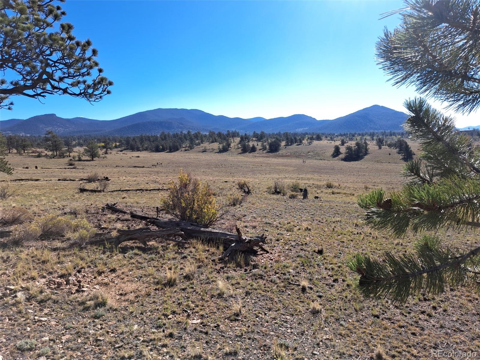 Land for sale at 508 Grand Teton Dr, Hartsel, CO 80449 | MLS# 1619866