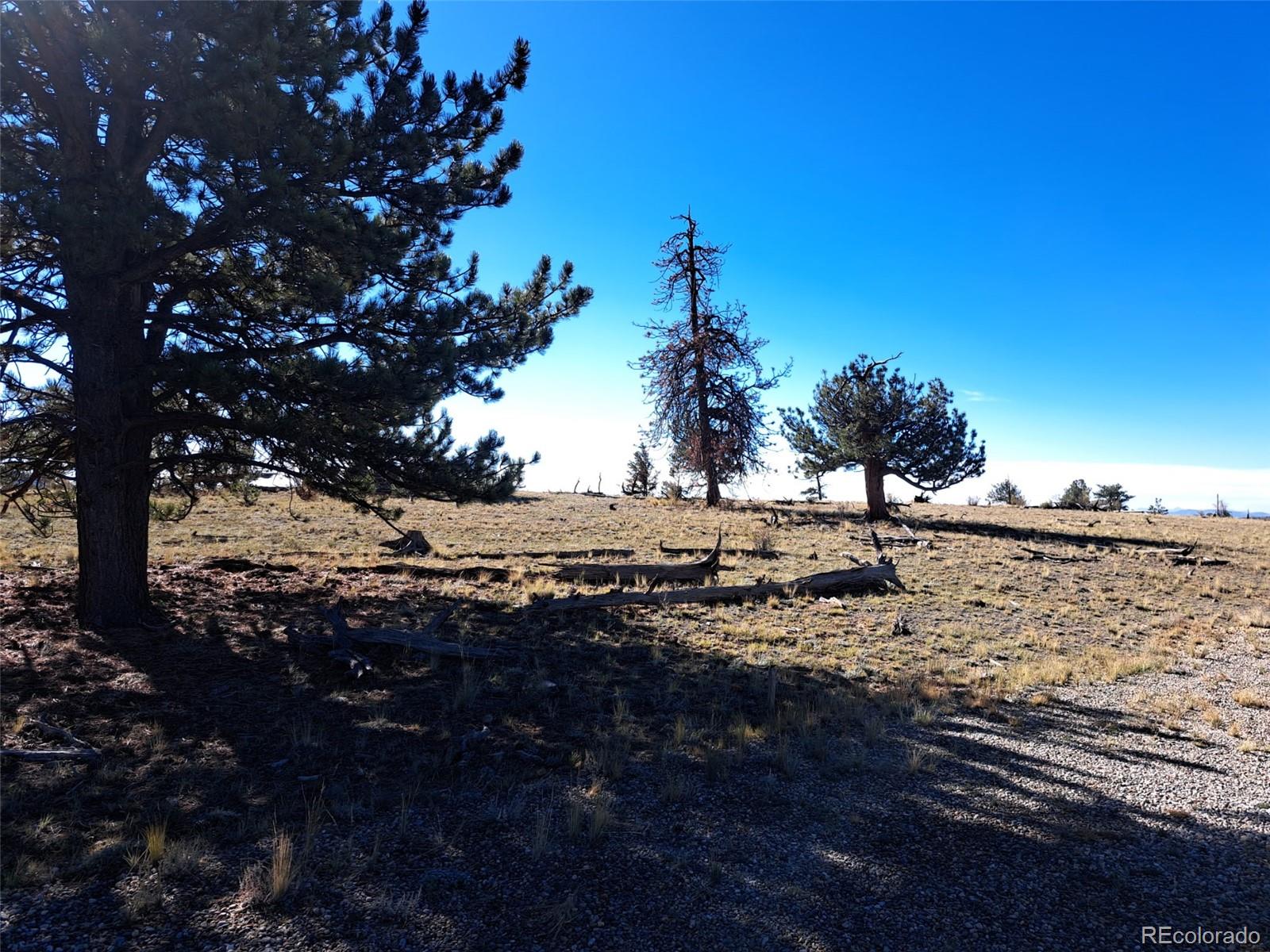 Photo 2 of Land for sale at 508 Grand Teton Dr, Hartsel, CO 80449 | MLS# 1619866 | Listing updated on 2026-09-24