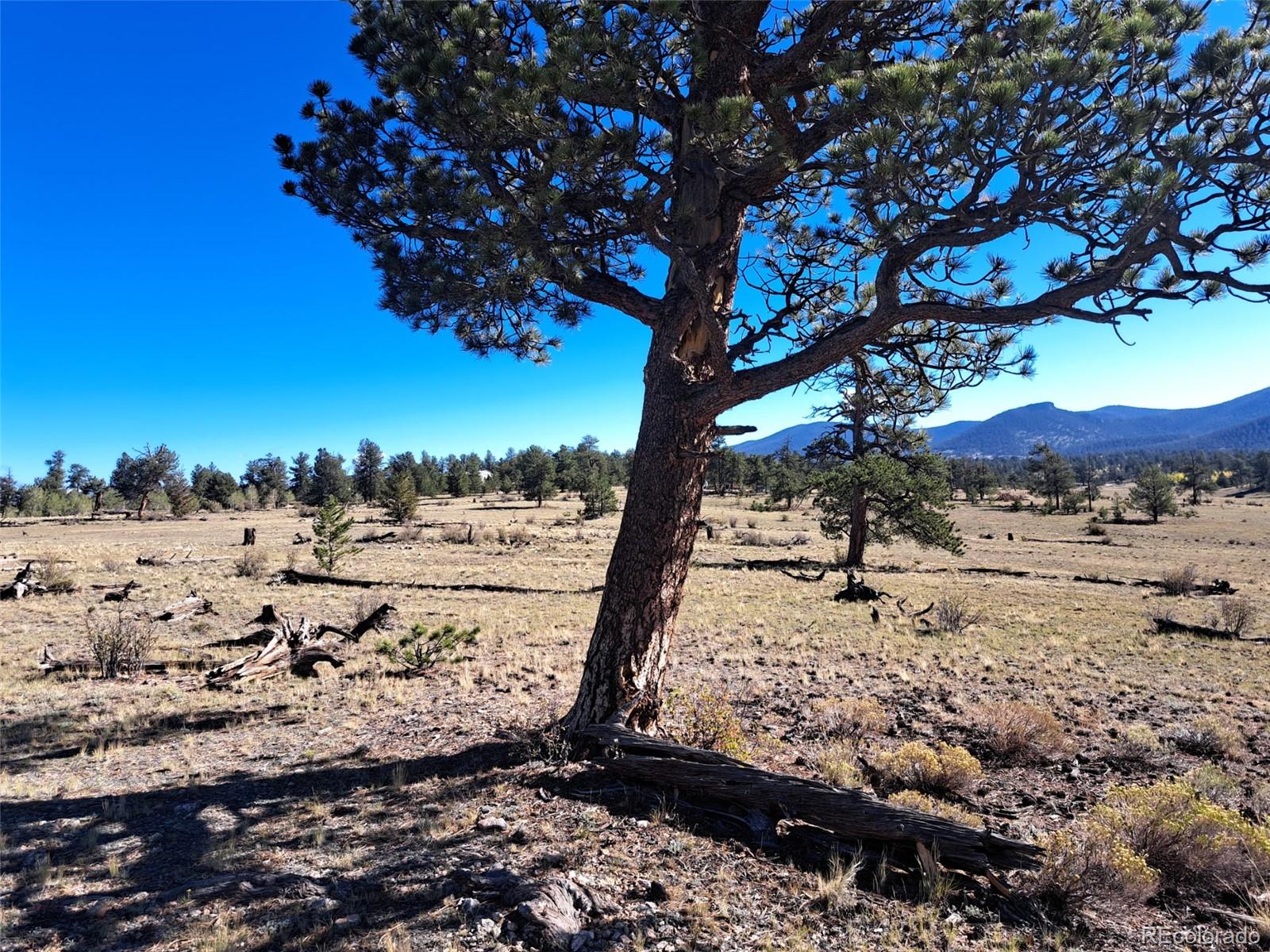 Photo 4 of Land for sale at 508 Grand Teton Dr, Hartsel, CO 80449 | MLS# 1619866 | Listing updated on 2026-09-24