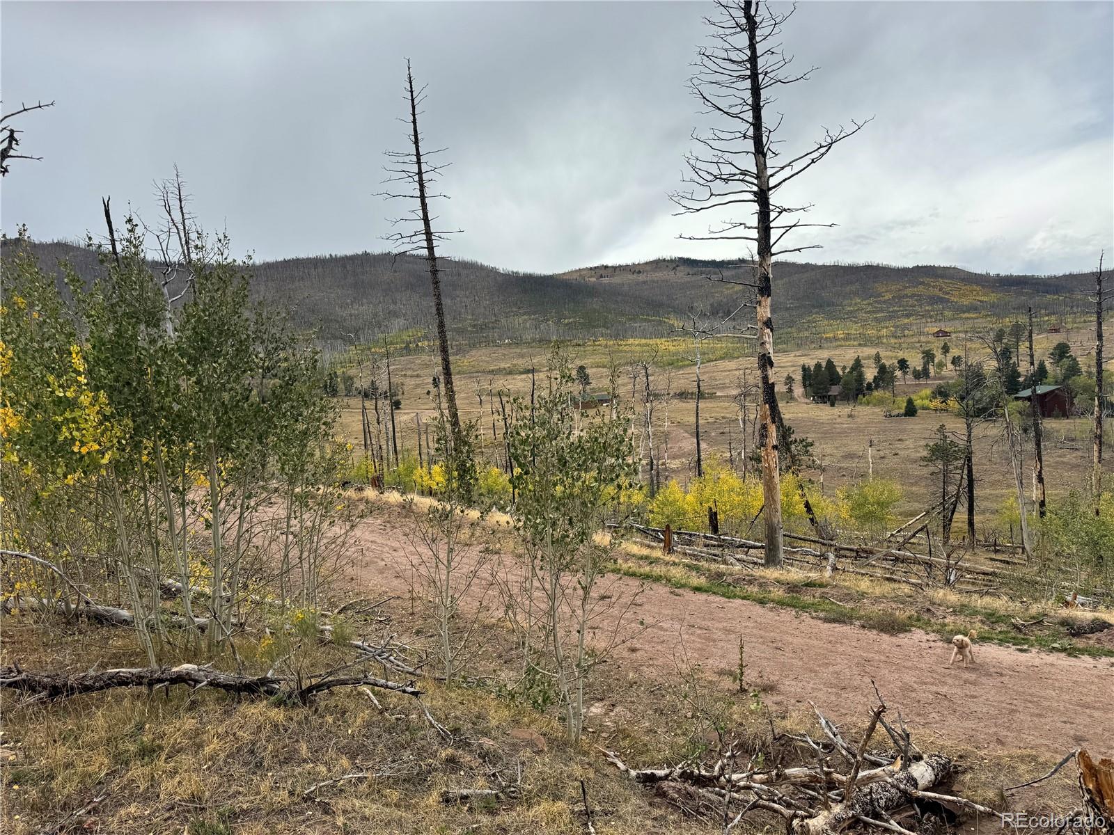 Land for sale at Lot 1797 Marr Loop, Fort Garland, CO 81133 | MLS# 2555318