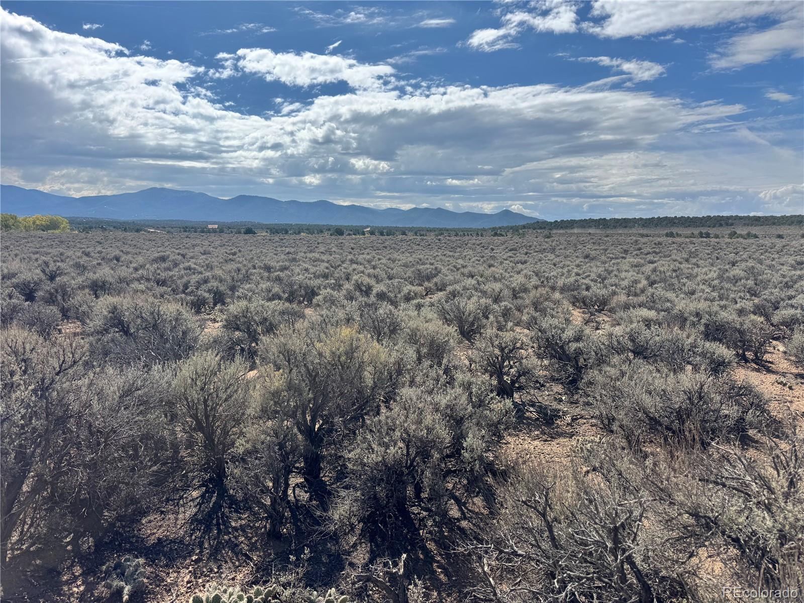 Photo 4 of Land for sale at Lot 649 Wilder Rd, Fort Garland, CO 81133 | MLS# 2921728 | Listing updated on 2026-09-24