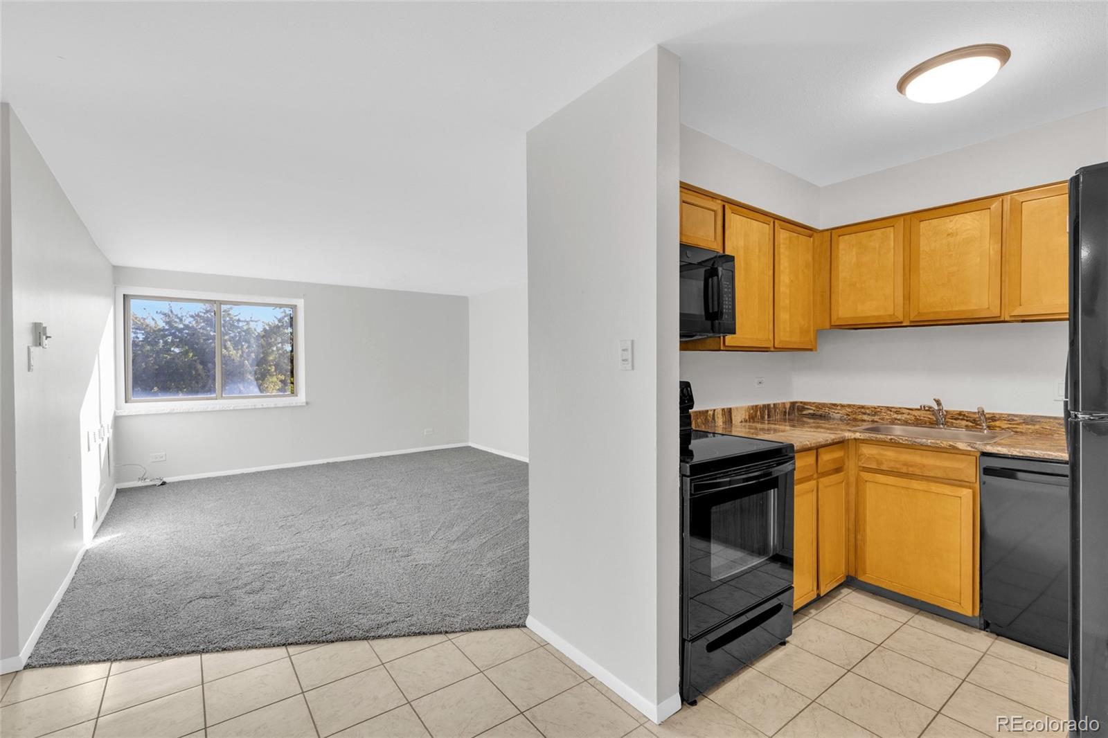 Photo 4 of Condo for sale at 1366 Garfield St #505, Denver, CO 80206 | MLS# 8550615 | Listing updated on 2026-10-24