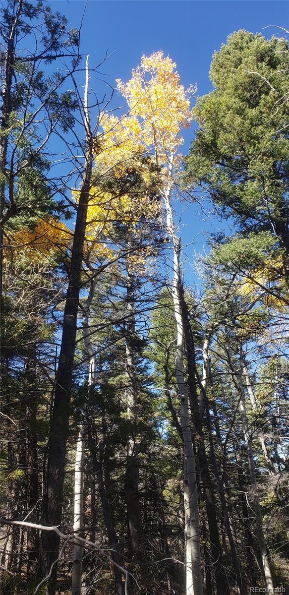 Photo 1 of Land for sale at Lot 5019 Jensen Rd, Fort Garland, CO 81133 | MLS# 6553312 | Listing updated on 2026-10-23