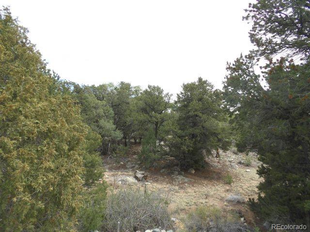Photo 3 of Land for sale at 918 Pine Cone Way, Crestone, CO 81131 | MLS# 3752680 | Listing updated on 2026-10-23