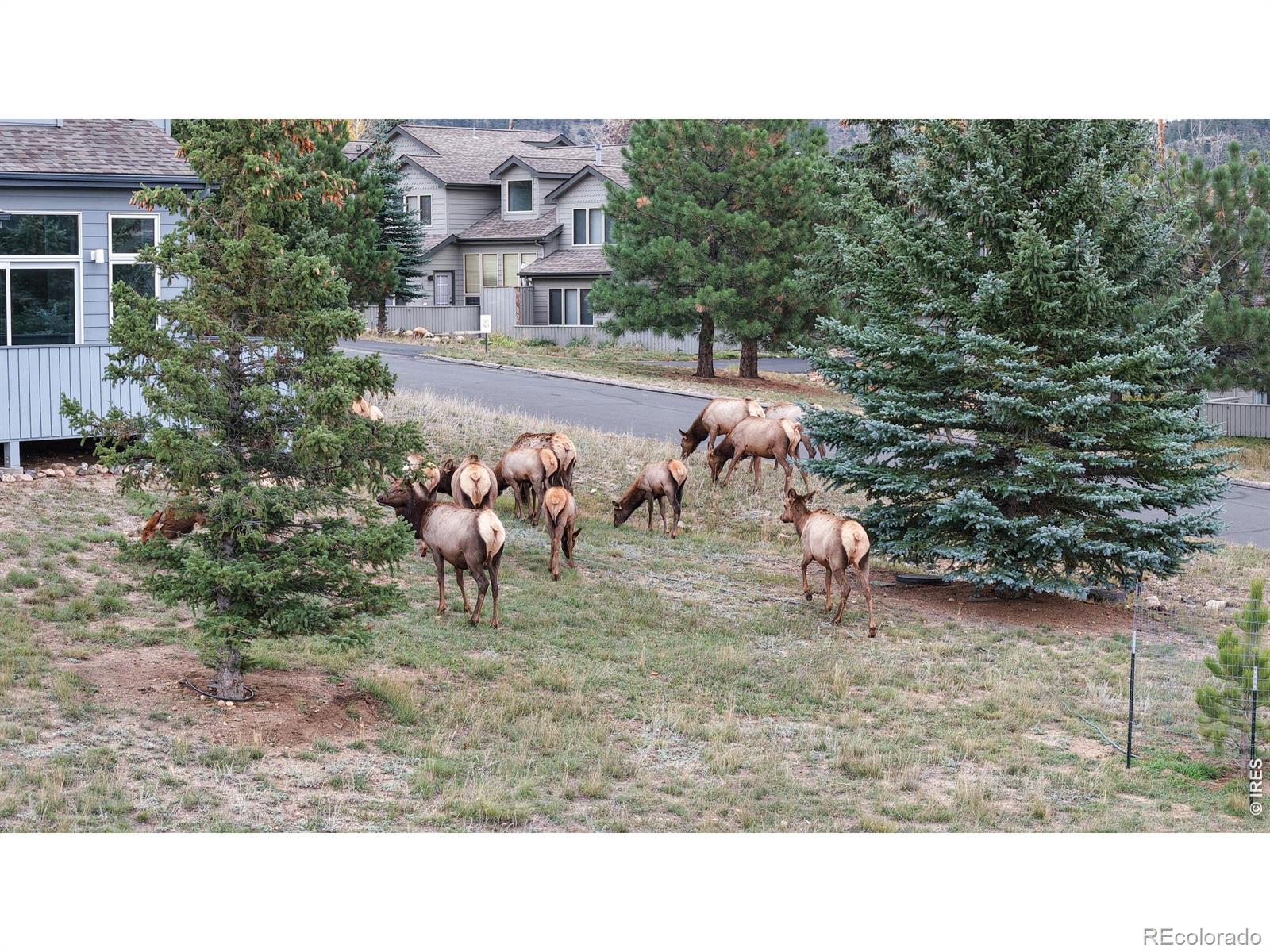Photo 2 of Condo for sale at 1555 Raven Cir #C, Estes Park, CO 80517 | MLS# IR1071185 | Listing updated on 2026-10-23