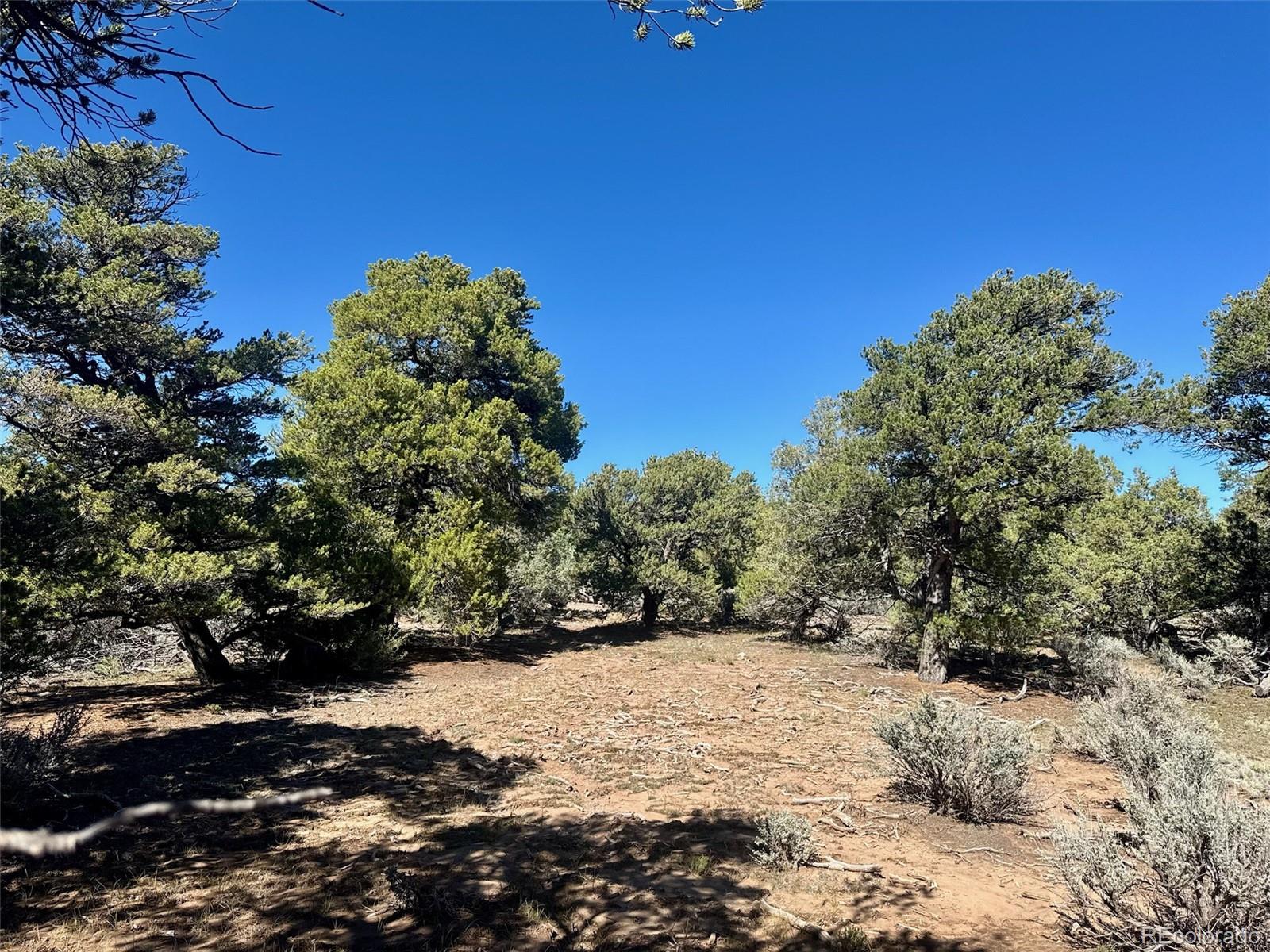 Photo 3 of Land for sale at 36 Ac Elk Park Rd, San Luis, CO 81152 | MLS# 2425990 | Listing updated on 2026-10-24