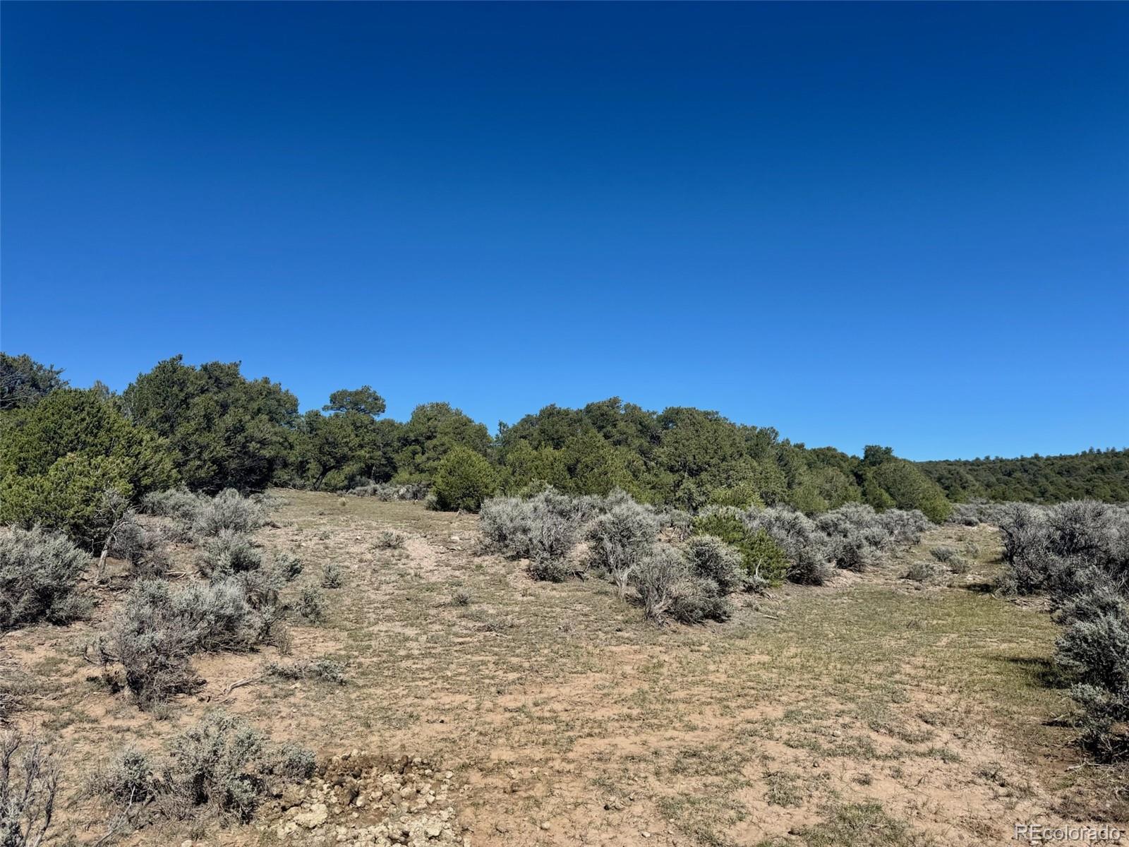 Photo 4 of Land for sale at 36 Ac Elk Park Rd, San Luis, CO 81152 | MLS# 2425990 | Listing updated on 2026-10-24