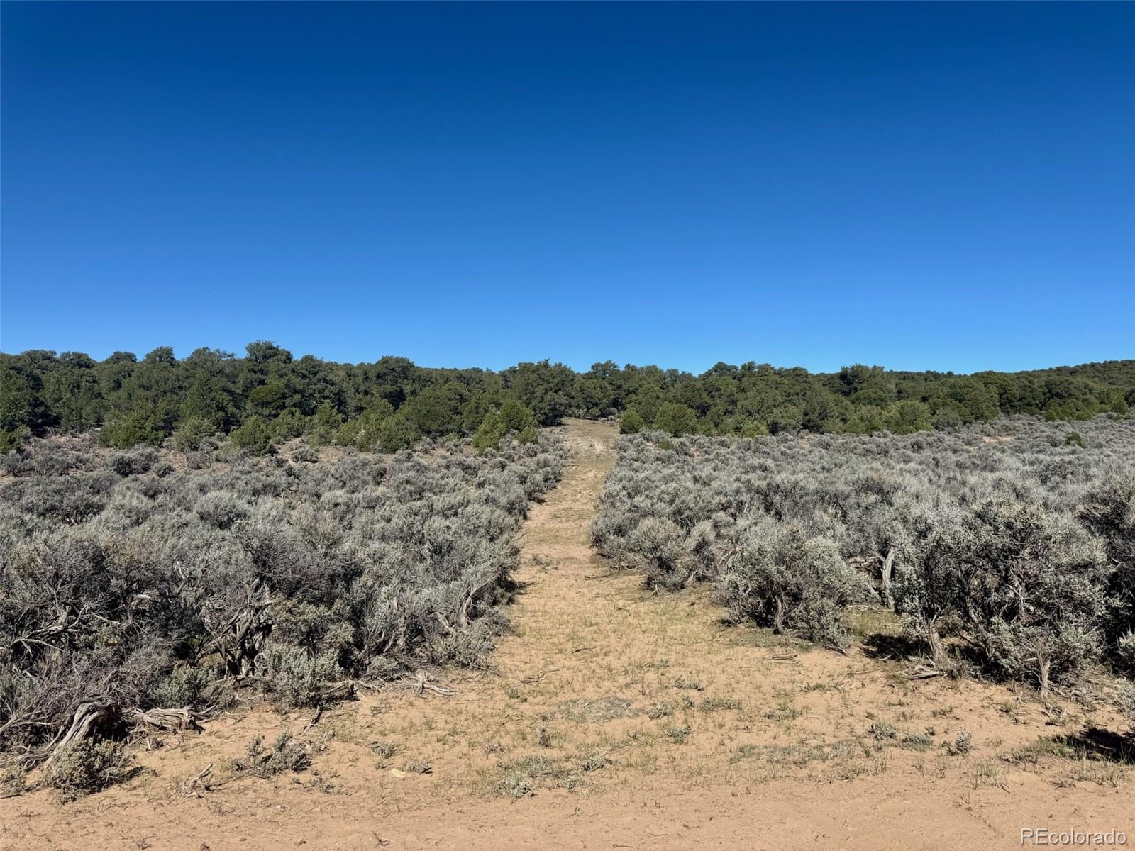 Photo 3 of Land for sale at 36 Ac Elk Park Rd, San Luis, CO 81152 | MLS# 2425990 | Listing updated on 2026-10-24