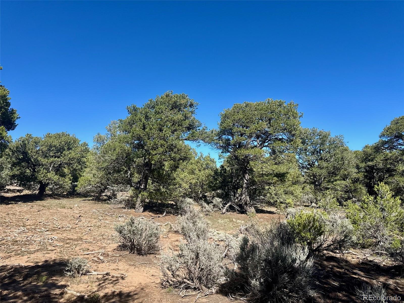 Photo 2 of Land for sale at 36 Ac Elk Park Rd, San Luis, CO 81152 | MLS# 2425990 | Listing updated on 2026-10-24