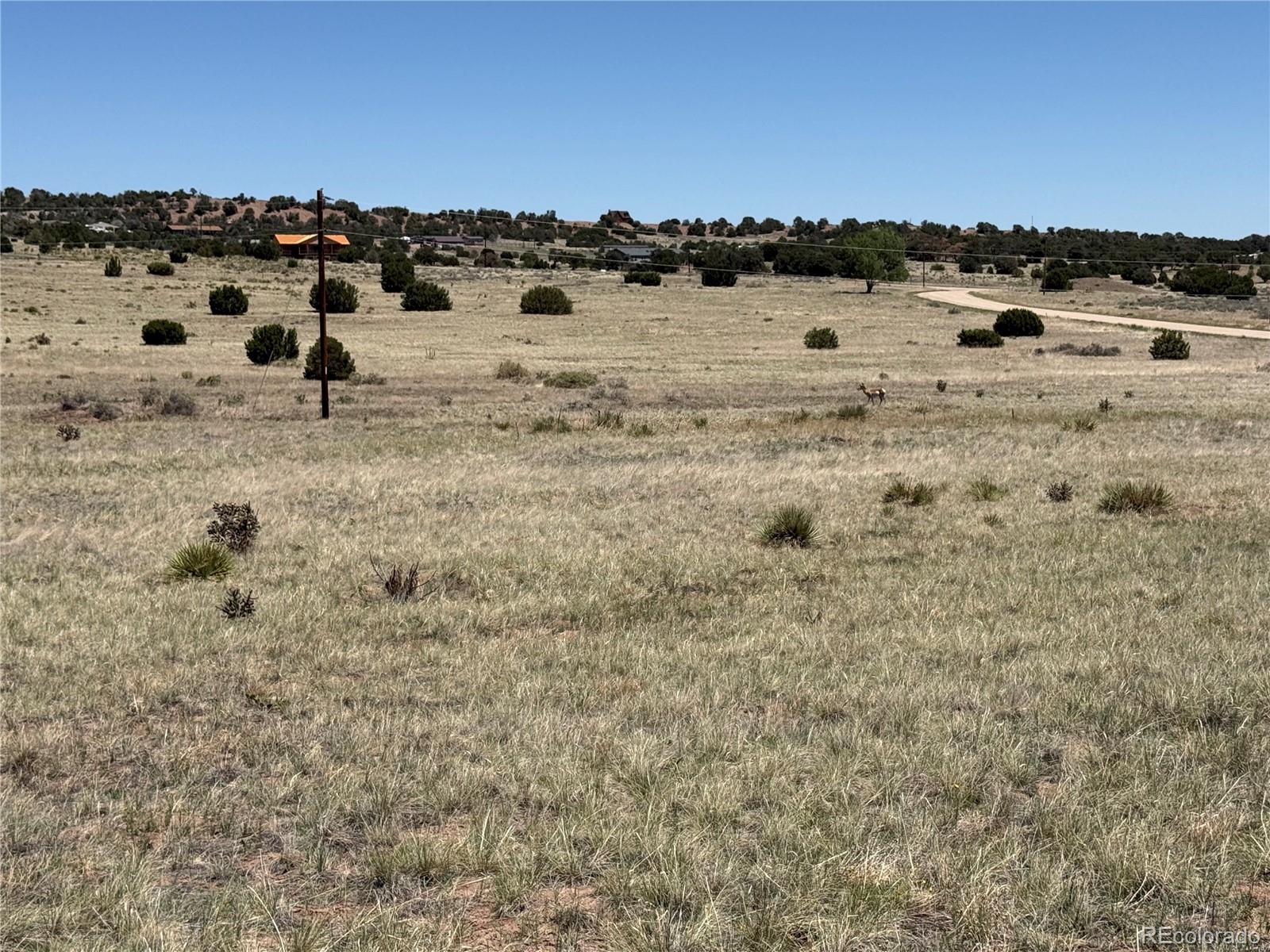 Photo 3 of Single family home for sale at 957 Arapahoe Dr, Walsenburg, CO 81089 | MLS# 2618746 | Listing updated on 2026-10-24