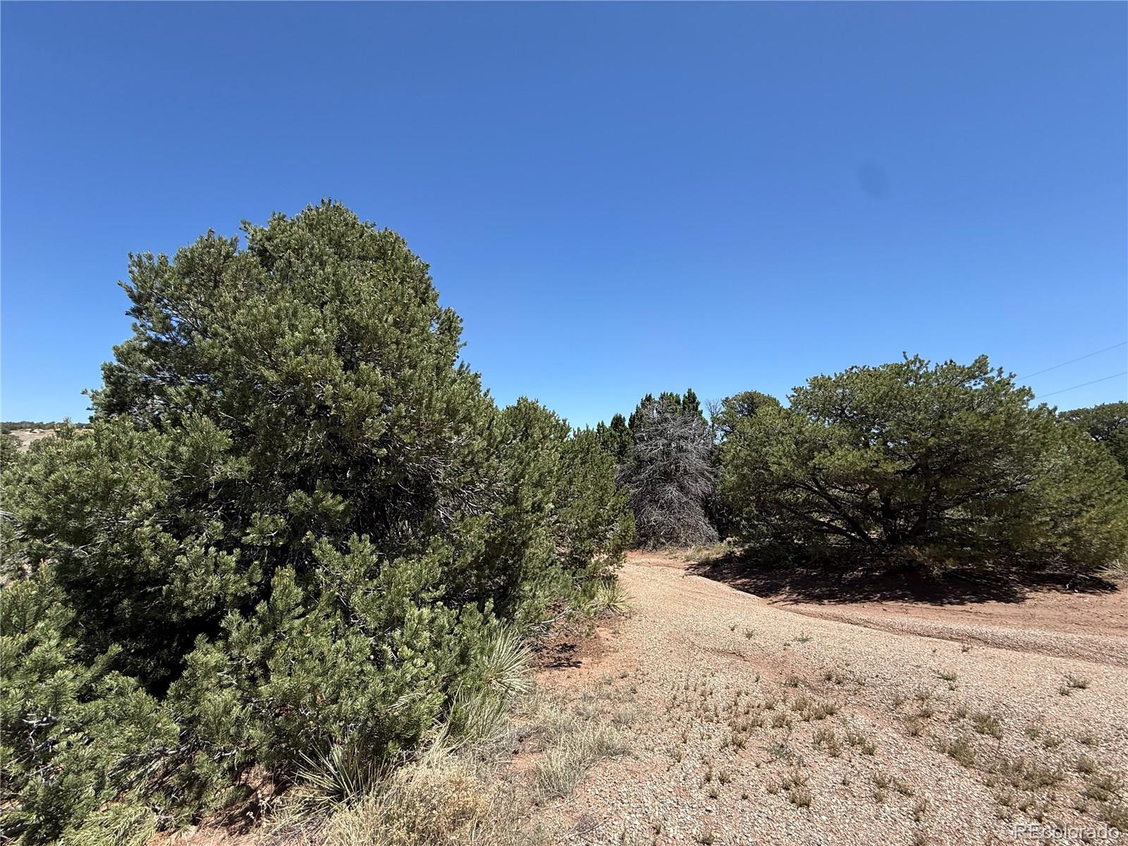 Photo 4 of Single family home for sale at 957 Arapahoe Dr, Walsenburg, CO 81089 | MLS# 2618746 | Listing updated on 2026-10-24