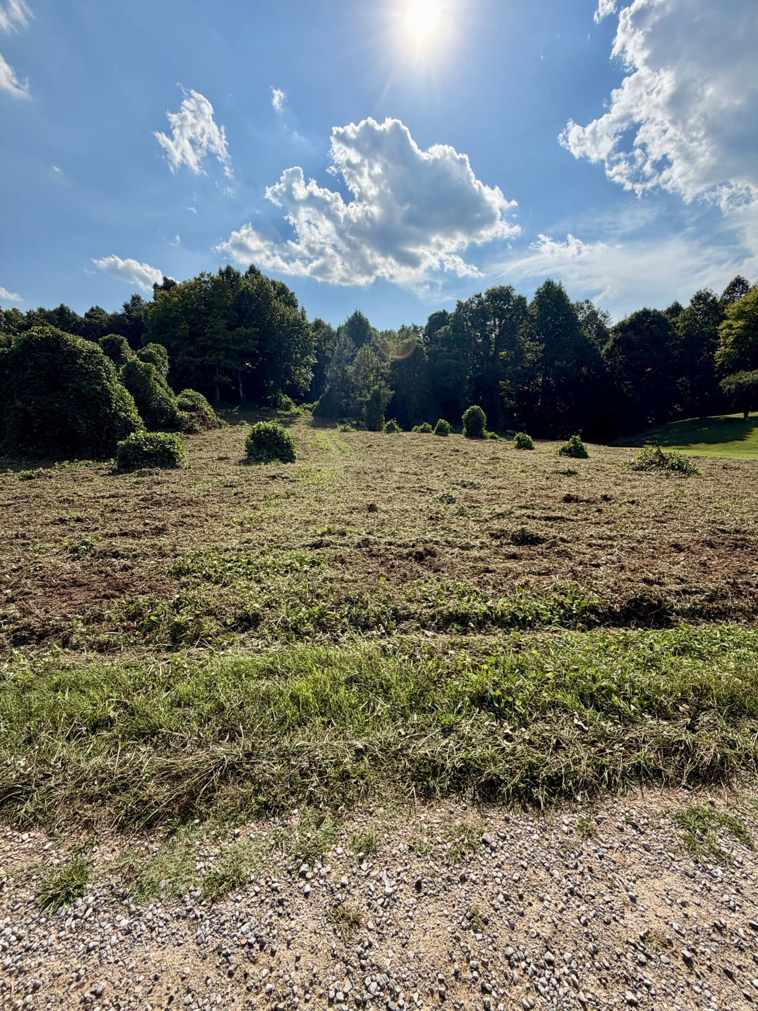 Land for sale at 140 Scenic View Ln, Madisonville, TN 37354 | MLS# 3245608