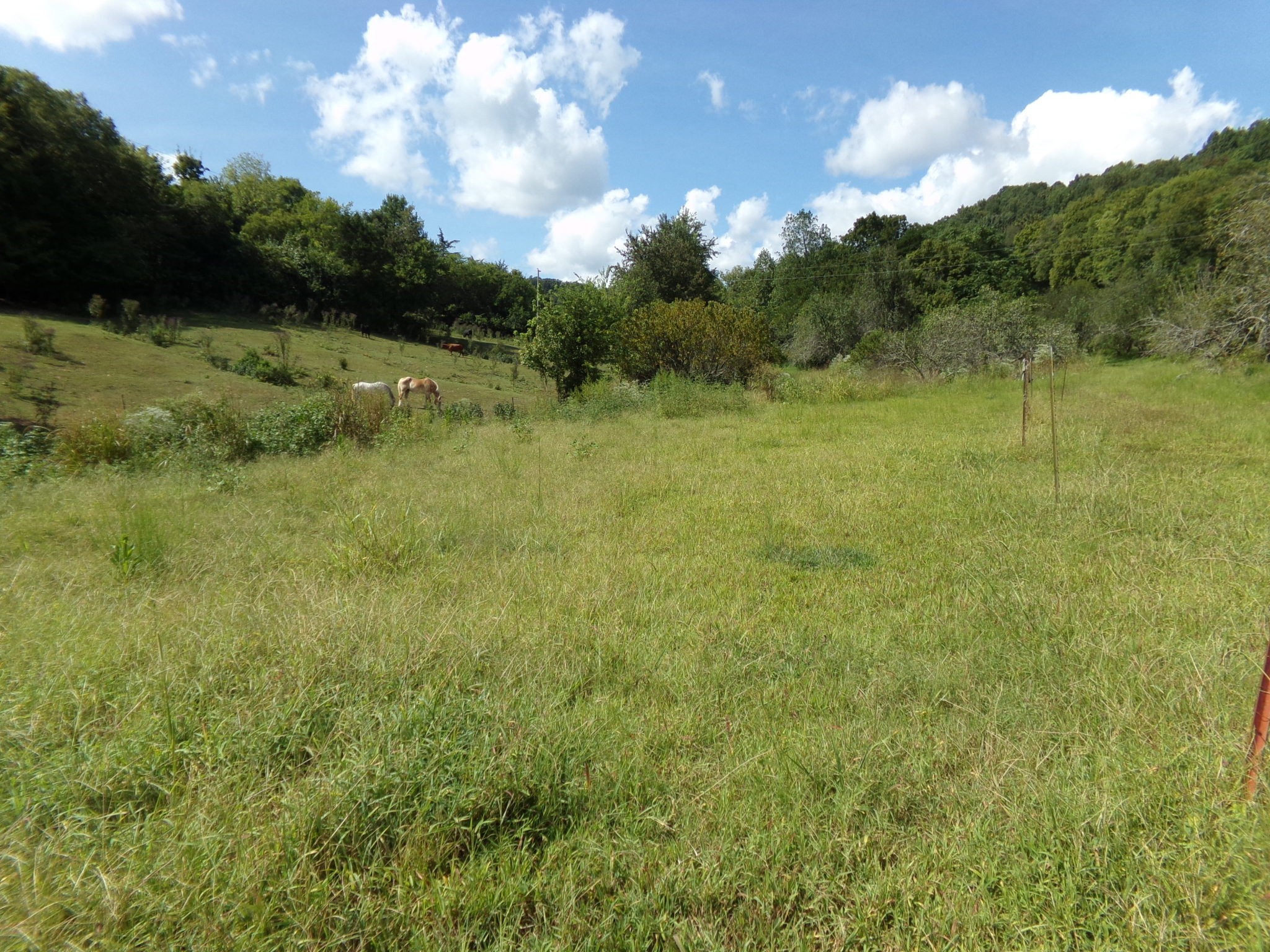 Land for sale at 2966 Monte Murrey Rd, Lewisburg, TN 37091 | MLS# 3529610