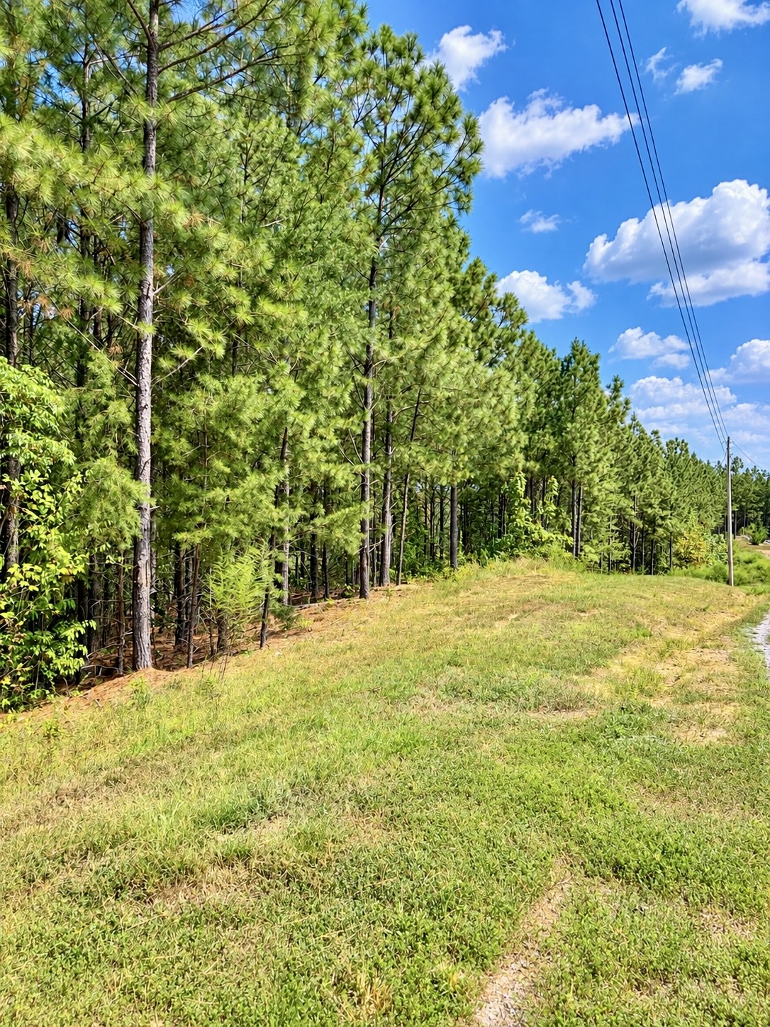 Photo 3 of Land for sale at 376 Fox Ridge Dr, Linden, TN 37096 | MLS# 3546027 | Listing updated on 2026-09-21